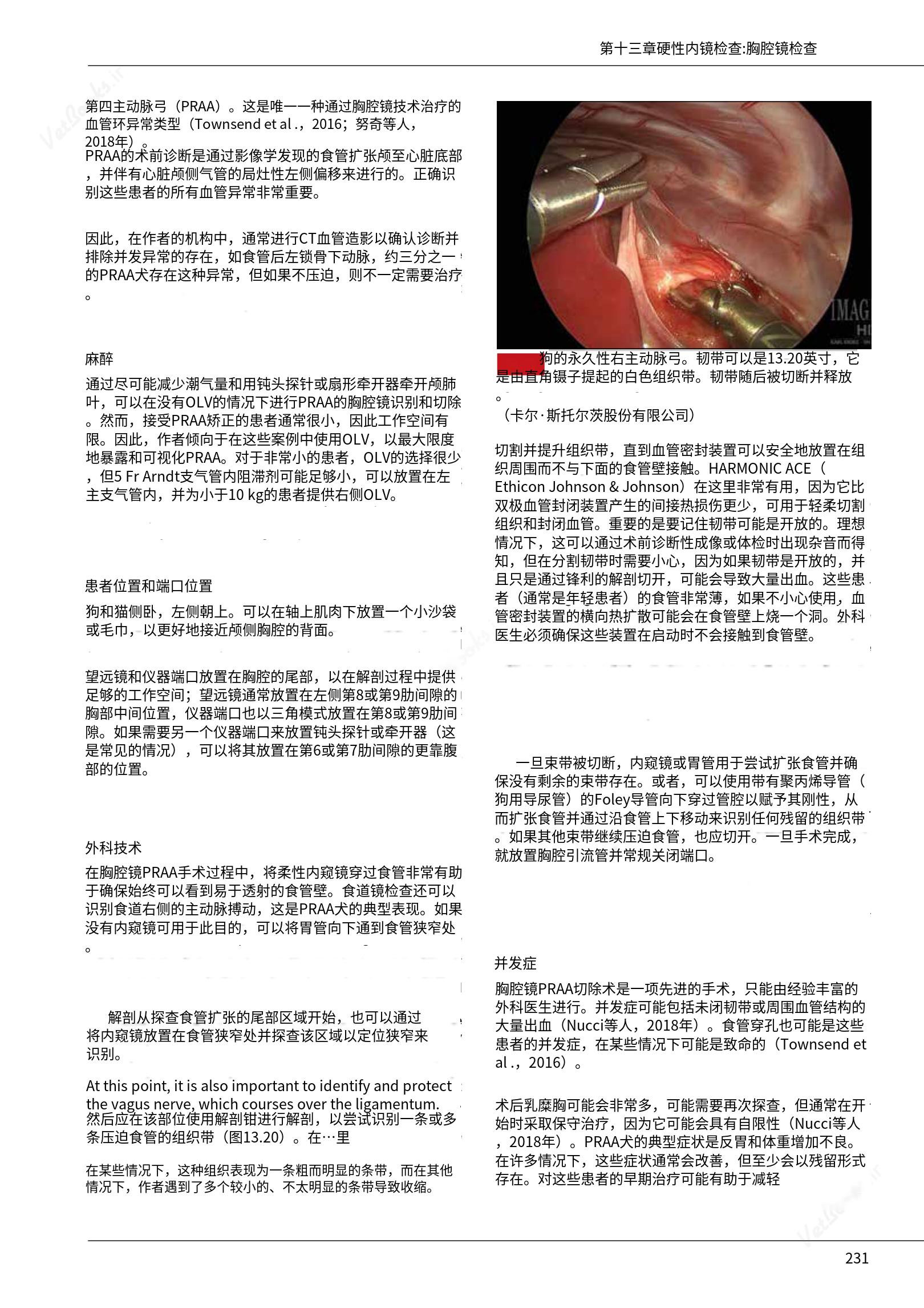 translated.c43daabf3598427ea848158cc8cae2d3_237.png