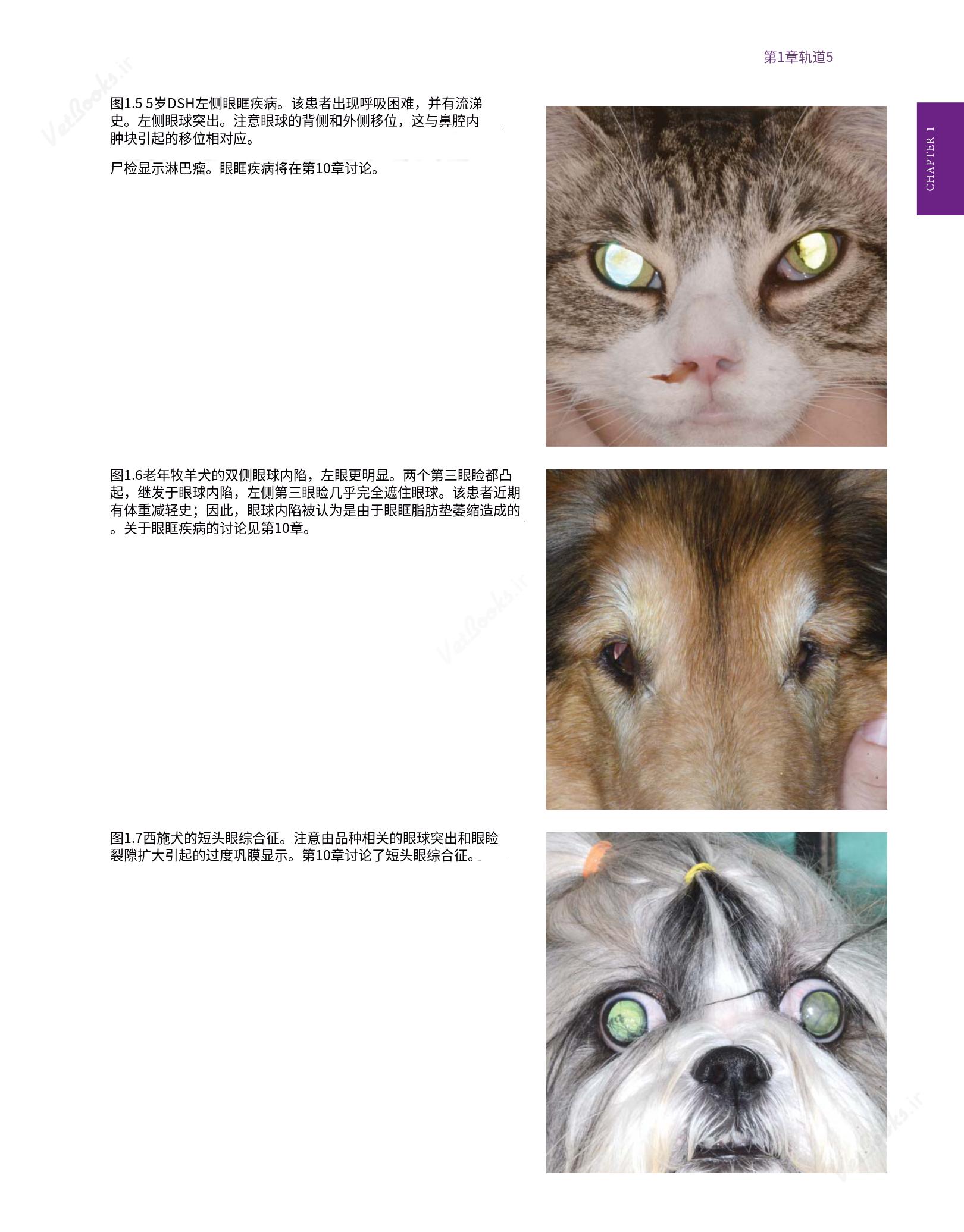 translated.8d36d370b5854e5687dea4520313d3b9_29.png