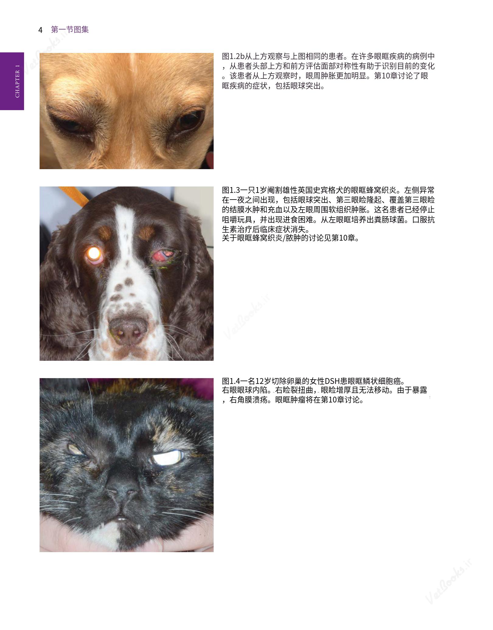 translated.8d36d370b5854e5687dea4520313d3b9_28.png