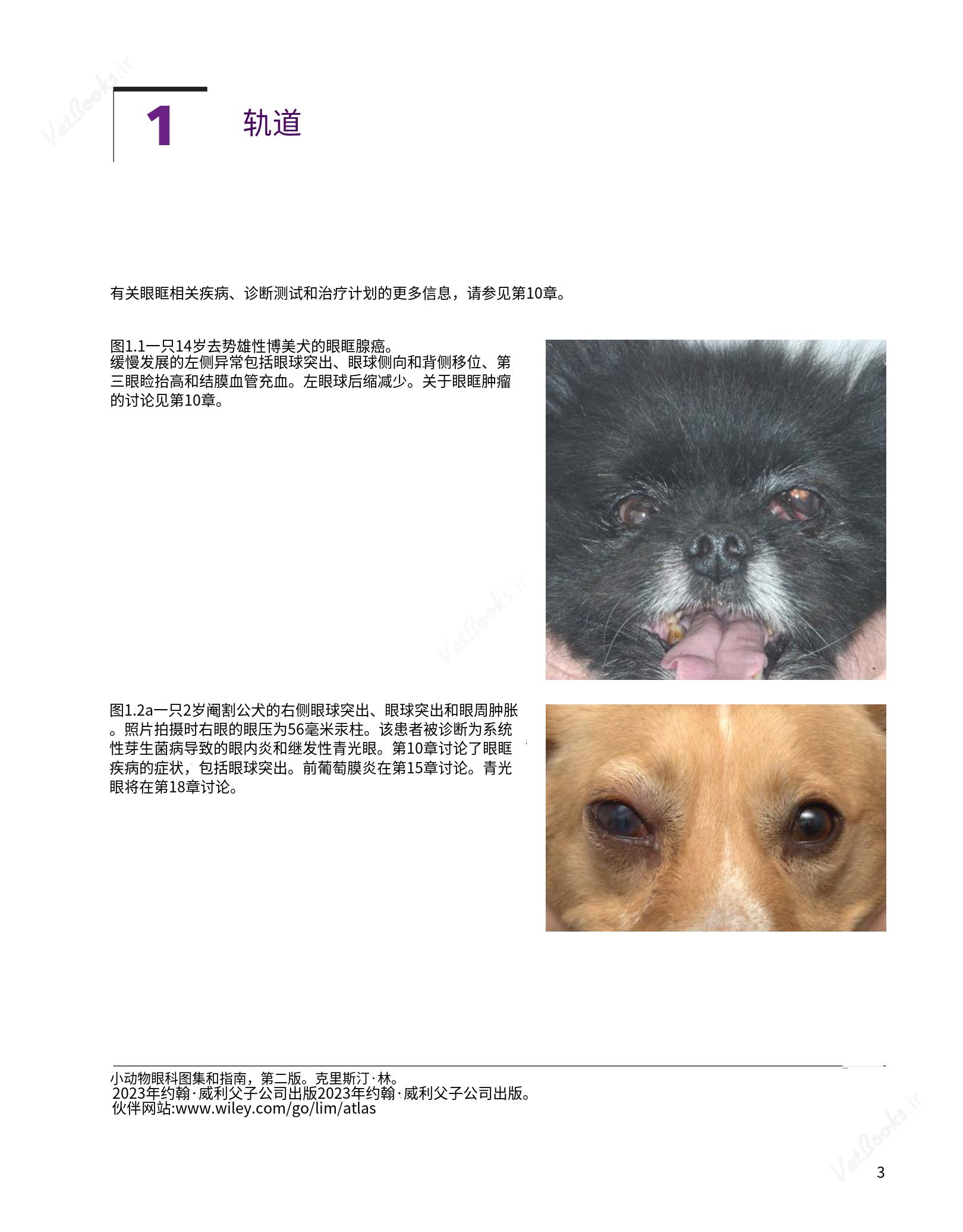 translated.8d36d370b5854e5687dea4520313d3b9_27.png