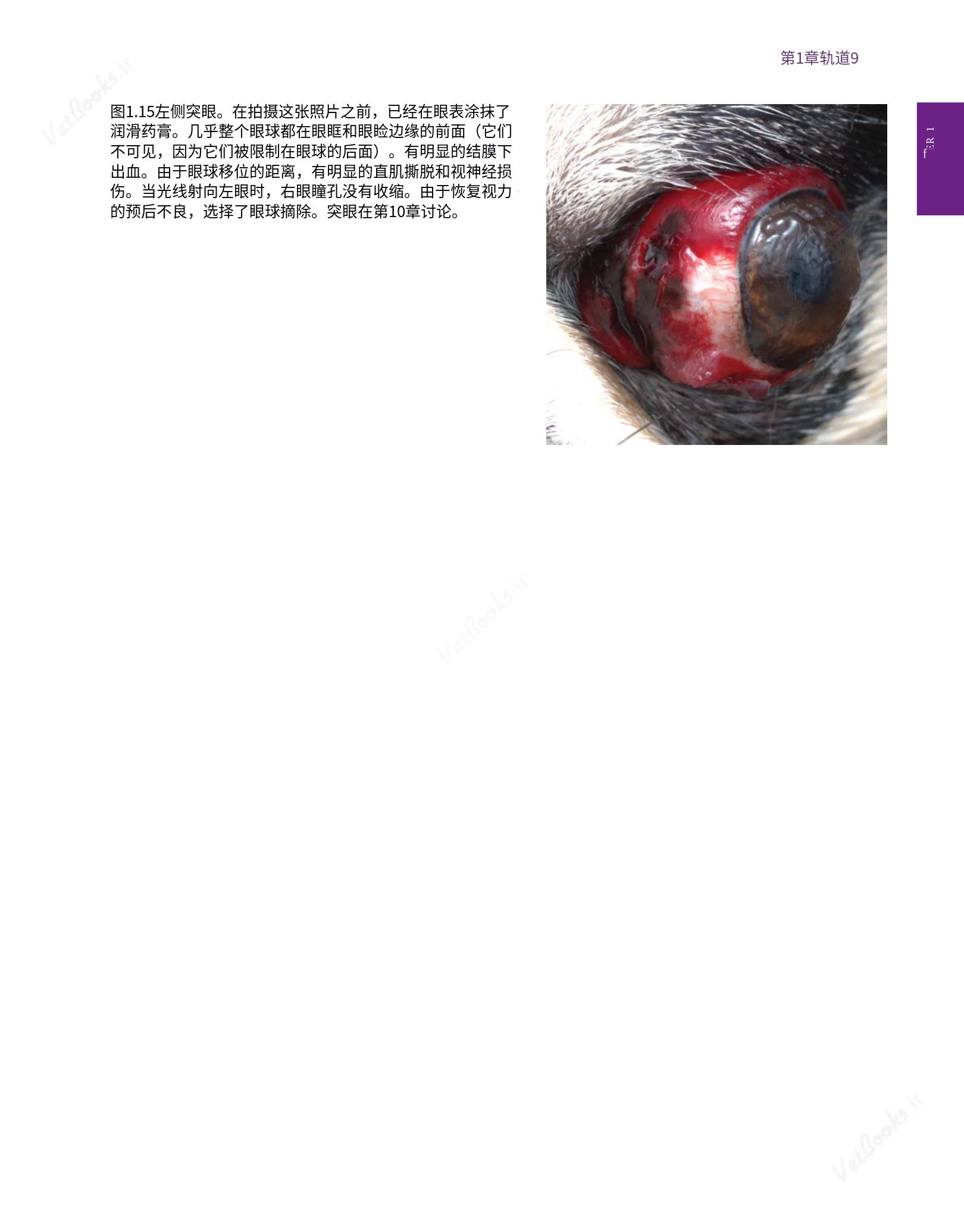 translated.8d36d370b5854e5687dea4520313d3b9_33.png