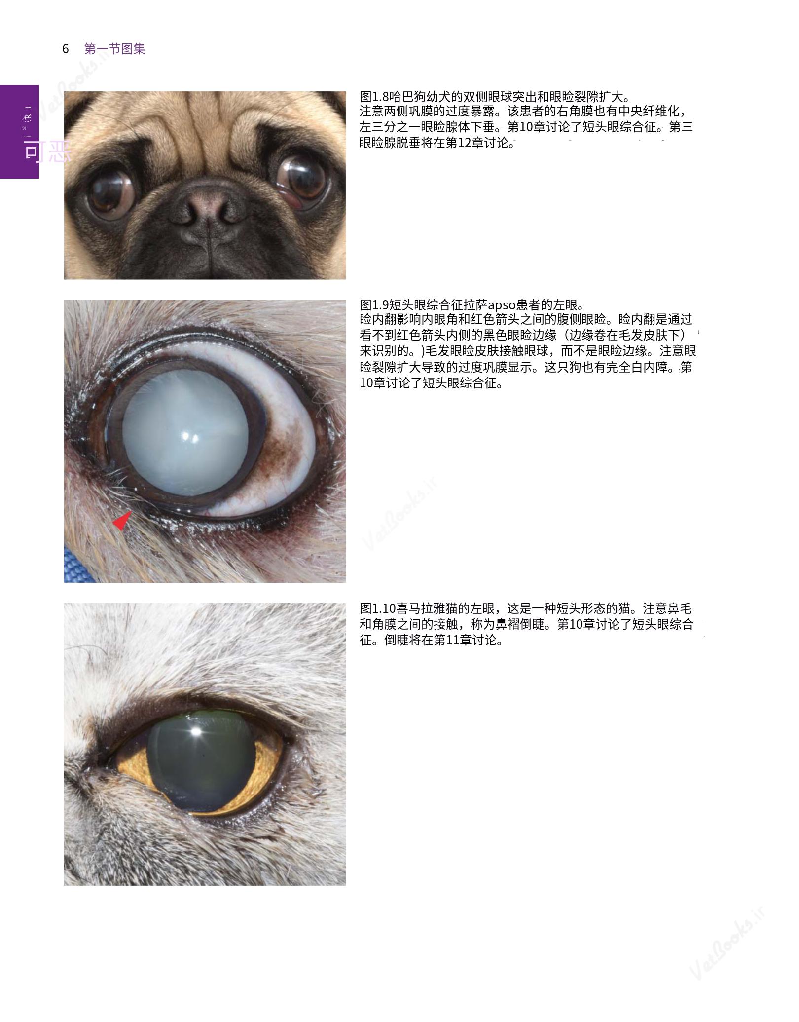 translated.8d36d370b5854e5687dea4520313d3b9_30.png