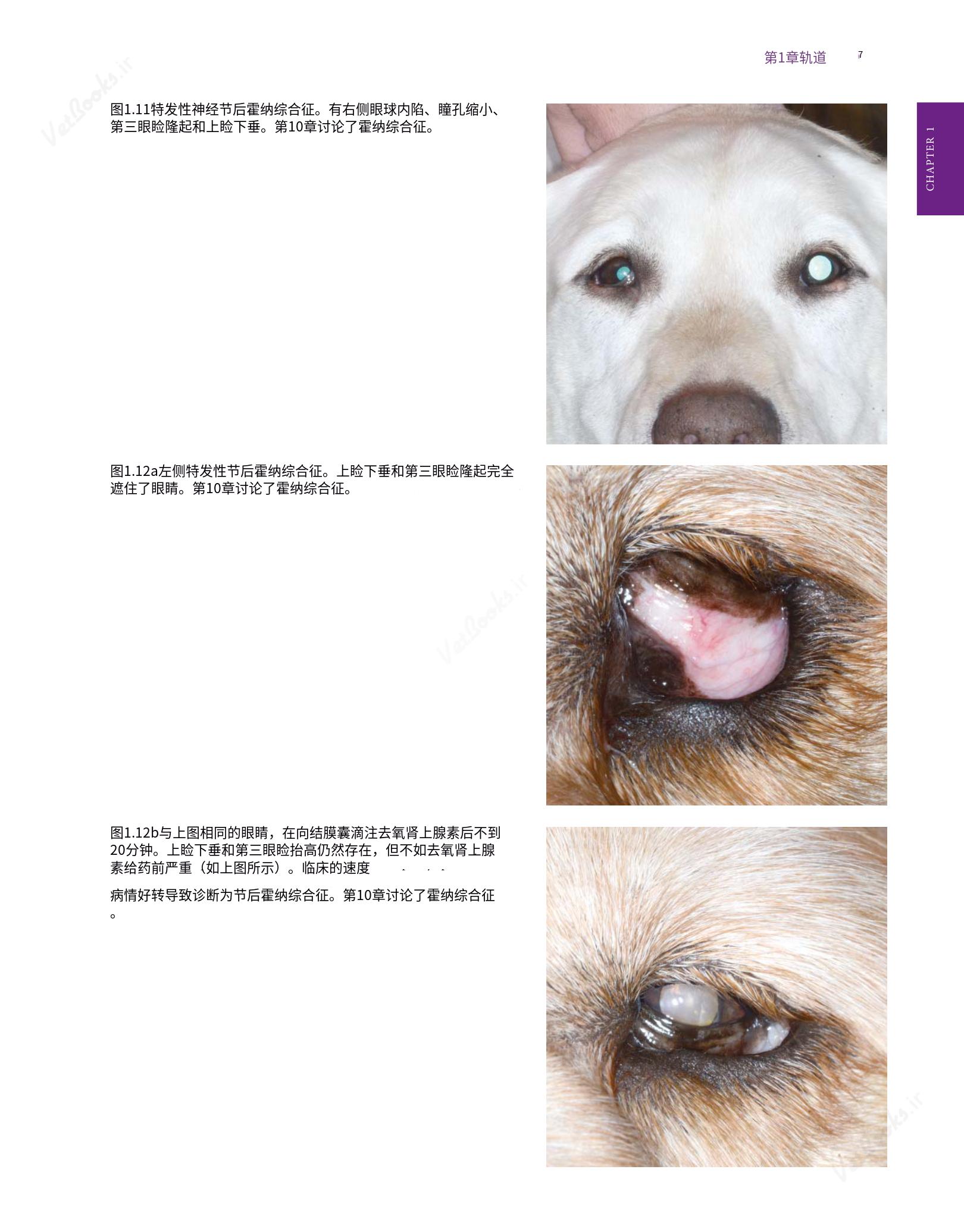 translated.8d36d370b5854e5687dea4520313d3b9_31.png