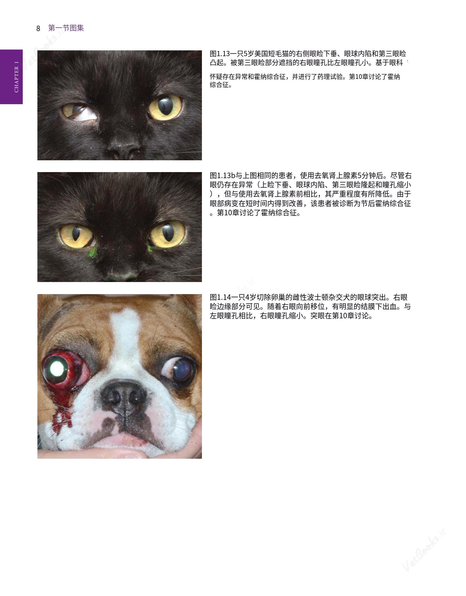 translated.8d36d370b5854e5687dea4520313d3b9_32.png