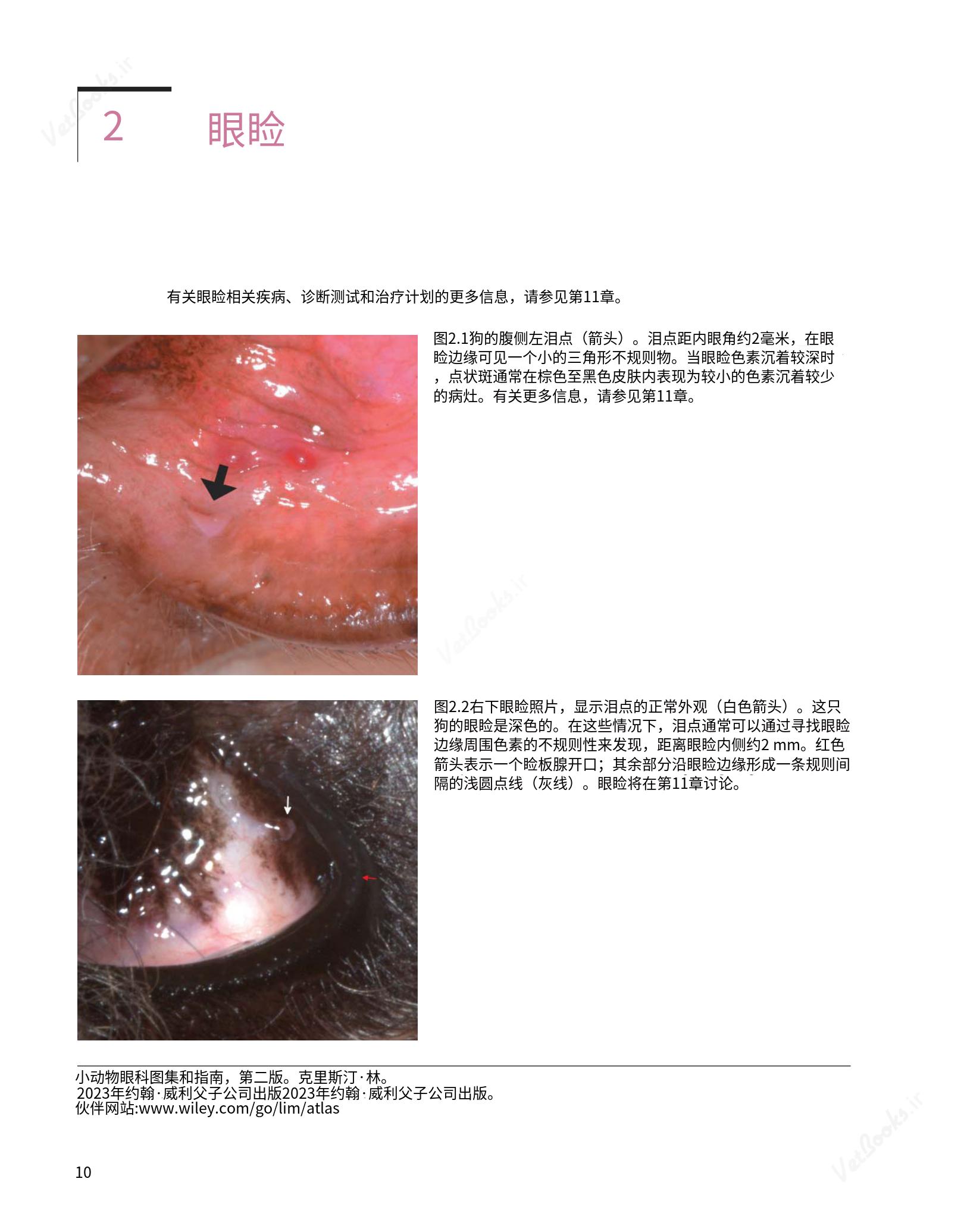 translated.8d36d370b5854e5687dea4520313d3b9_34.png