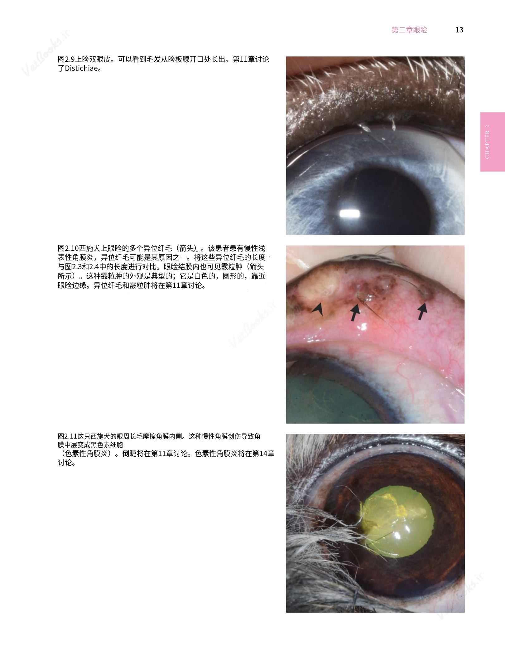 translated.8d36d370b5854e5687dea4520313d3b9_37.png