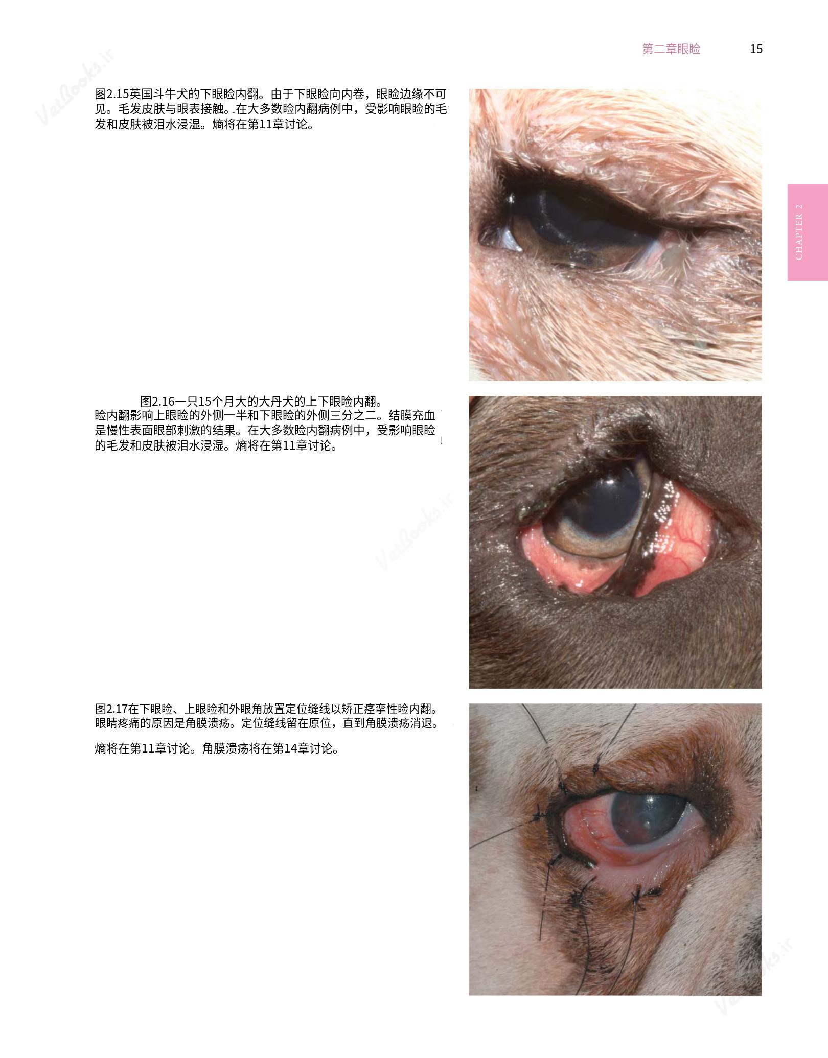 translated.8d36d370b5854e5687dea4520313d3b9_39.png