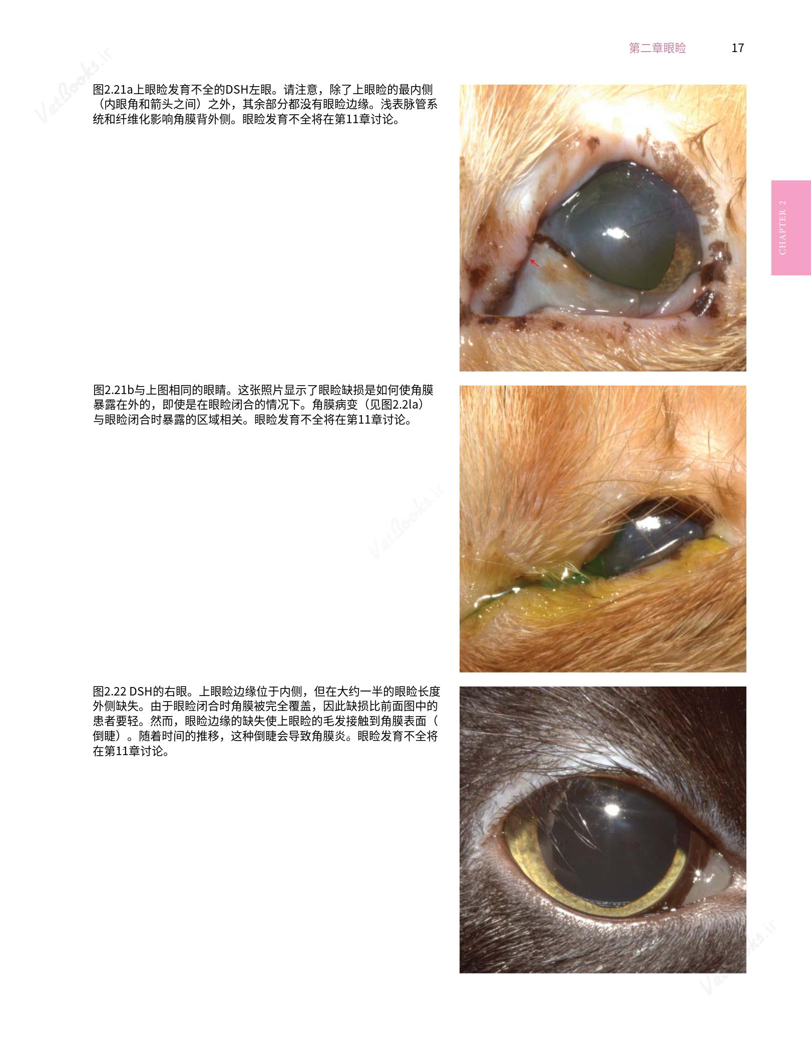 translated.8d36d370b5854e5687dea4520313d3b9_41.png