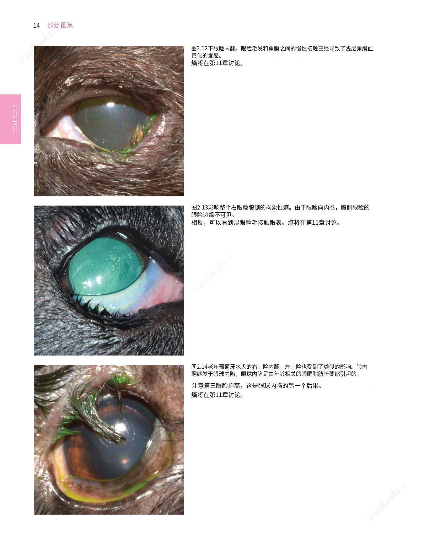 translated.8d36d370b5854e5687dea4520313d3b9_38.png