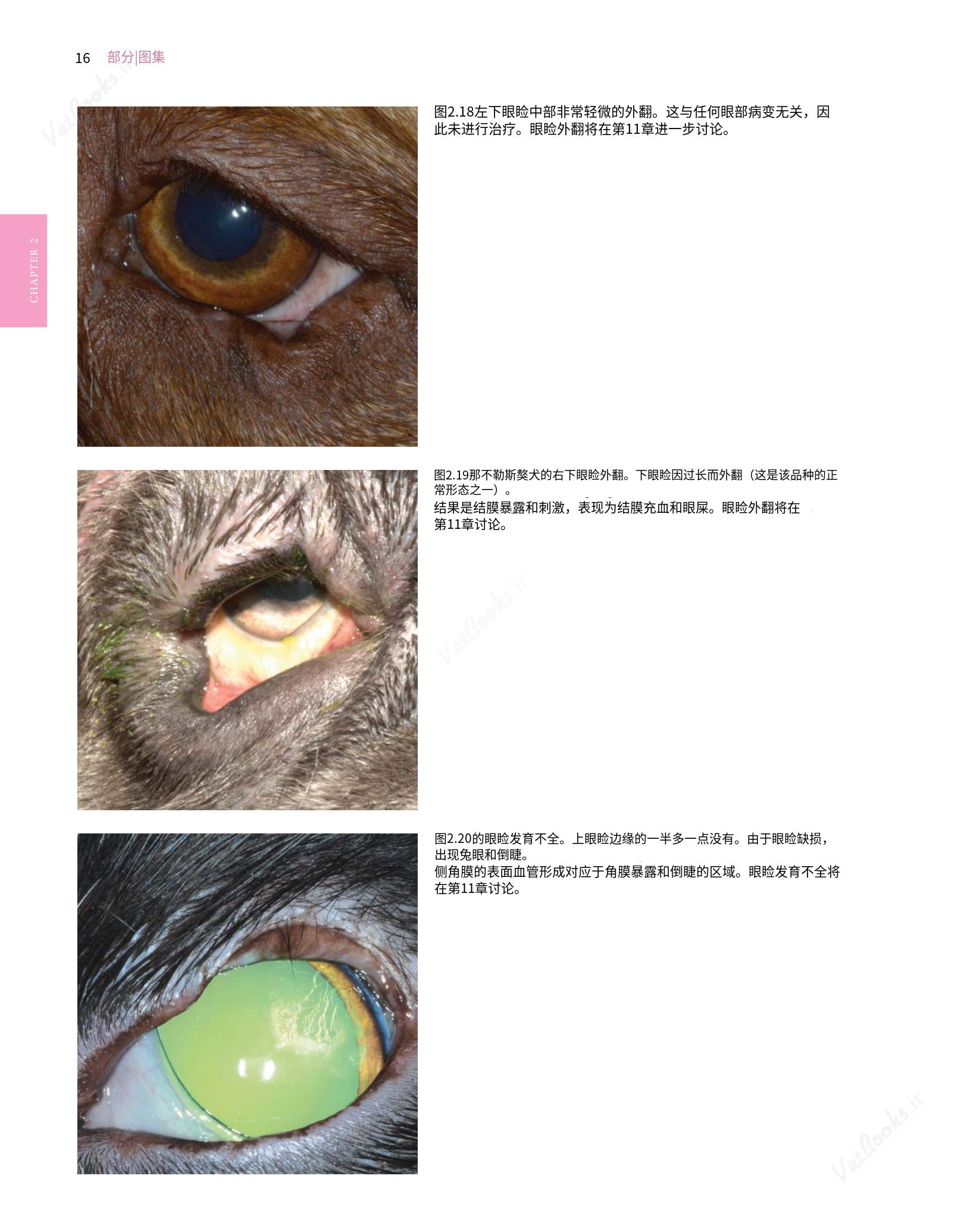 translated.8d36d370b5854e5687dea4520313d3b9_40.png