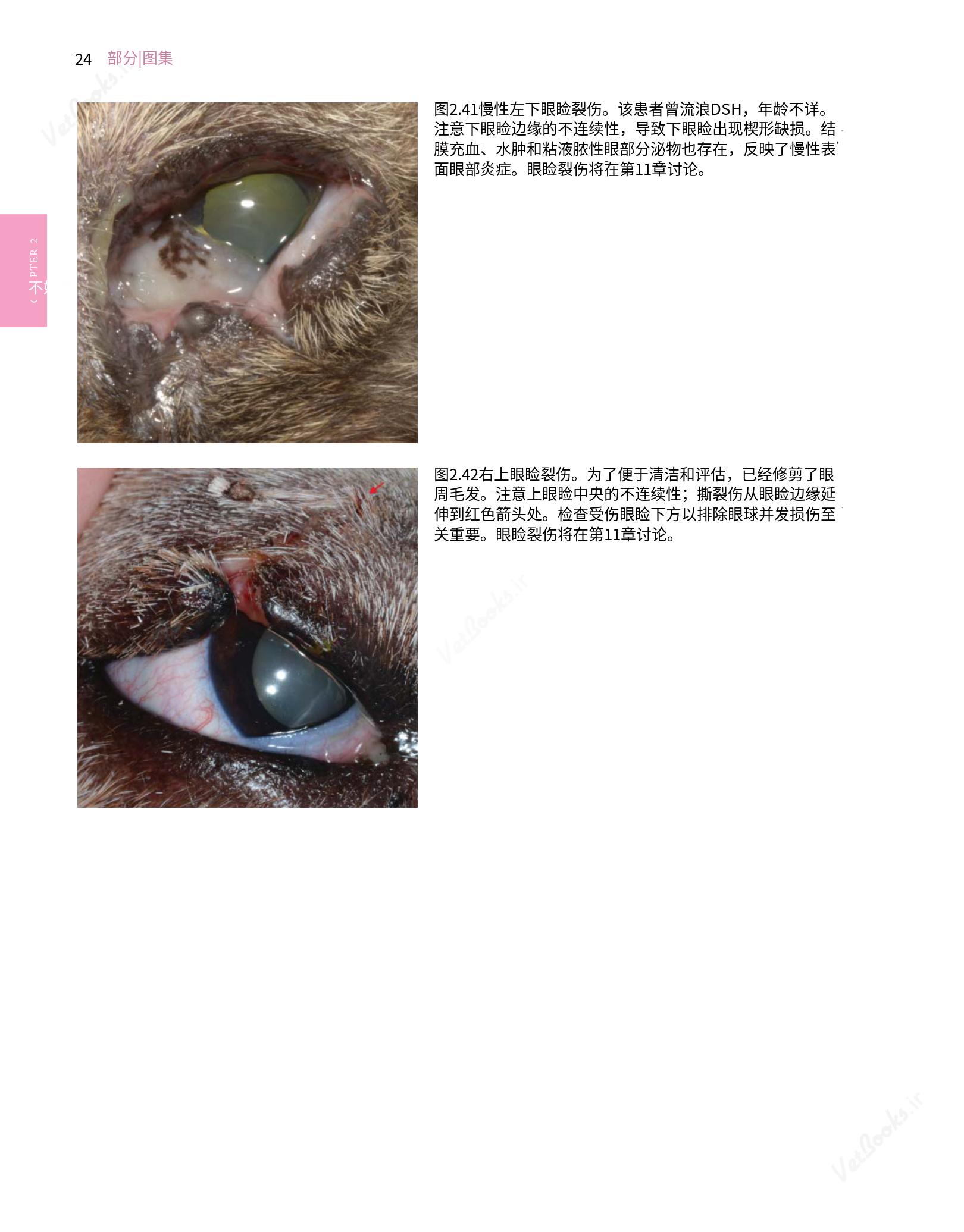 translated.8d36d370b5854e5687dea4520313d3b9_48.png