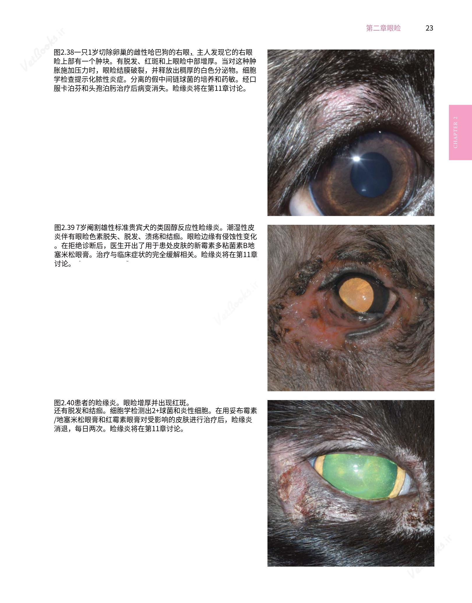 translated.8d36d370b5854e5687dea4520313d3b9_47.png