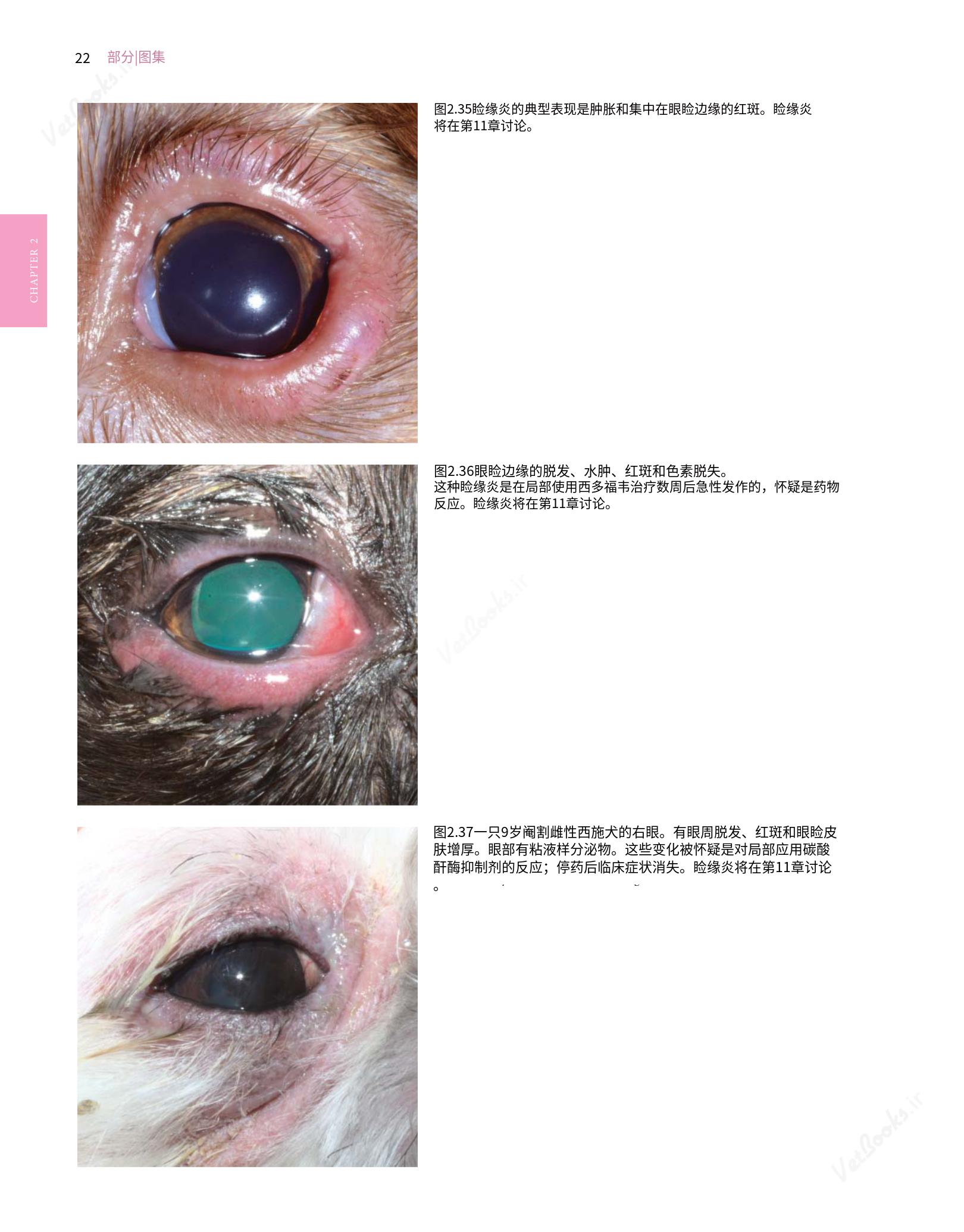 translated.8d36d370b5854e5687dea4520313d3b9_46.png