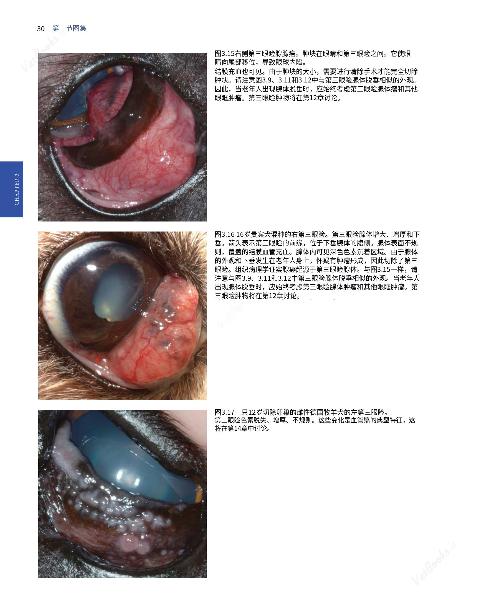 translated.8d36d370b5854e5687dea4520313d3b9_54.png