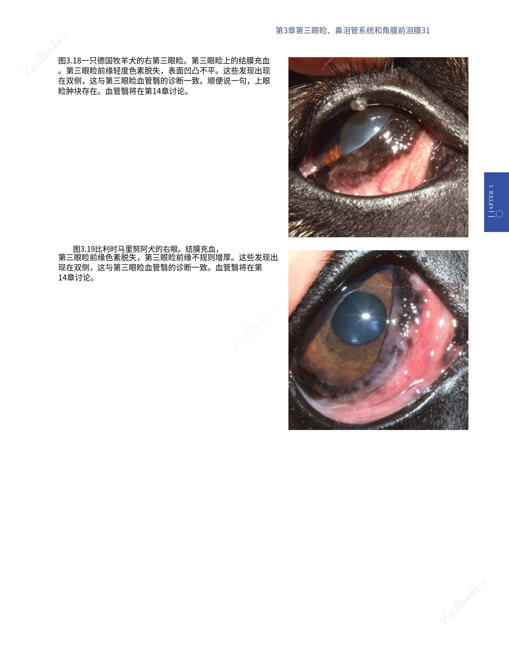 translated.8d36d370b5854e5687dea4520313d3b9_55.png