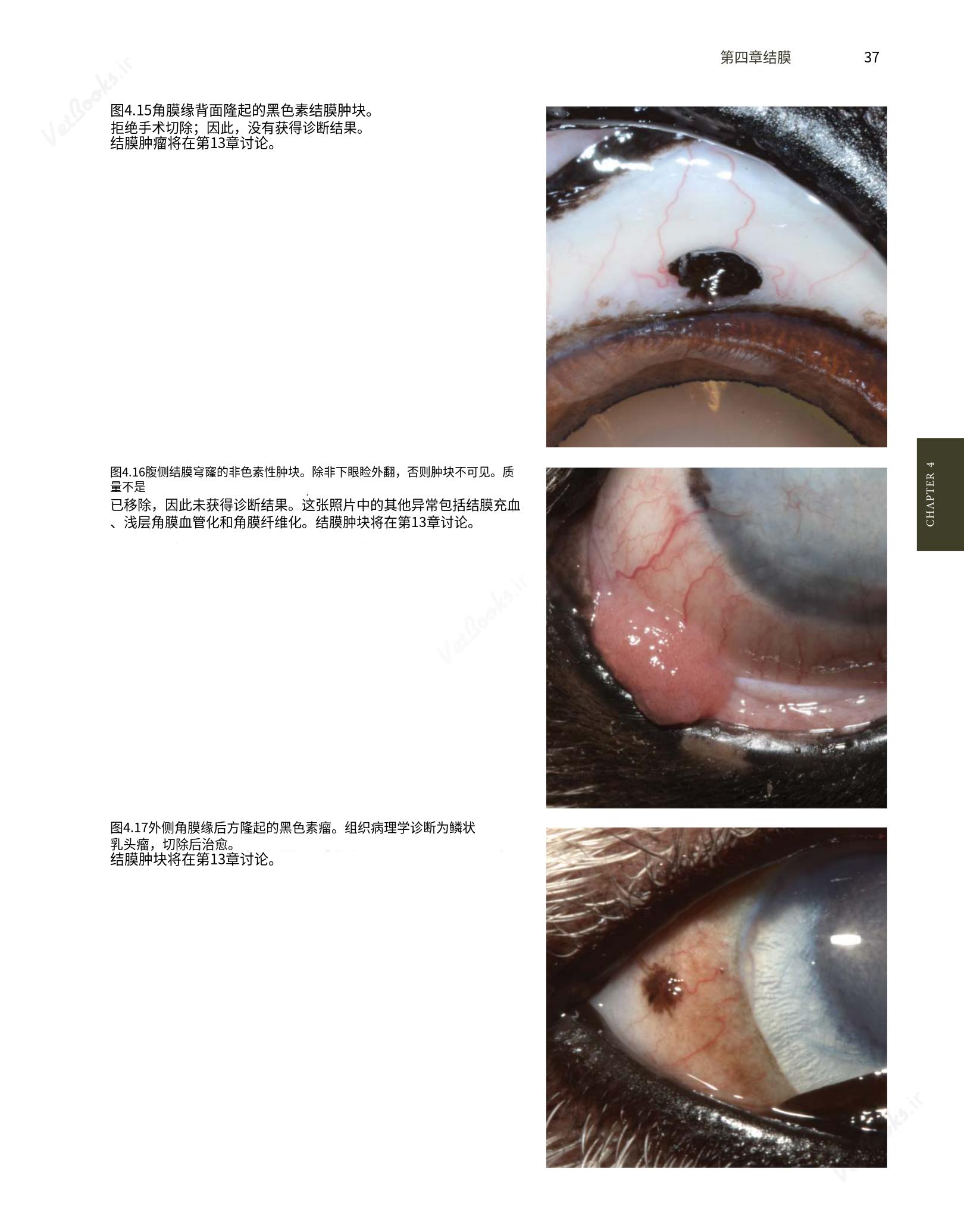 translated.8d36d370b5854e5687dea4520313d3b9_61.png