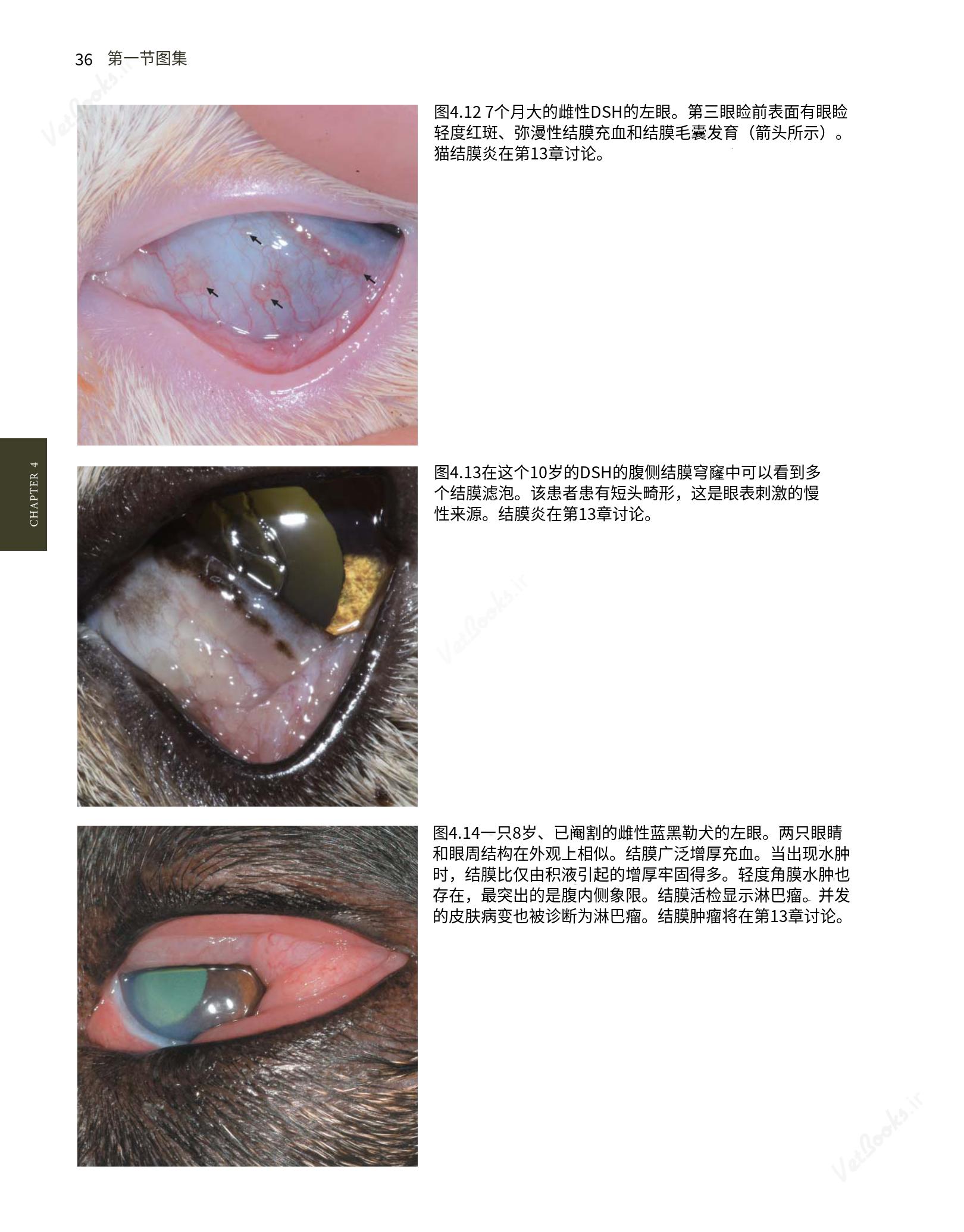 translated.8d36d370b5854e5687dea4520313d3b9_60.png