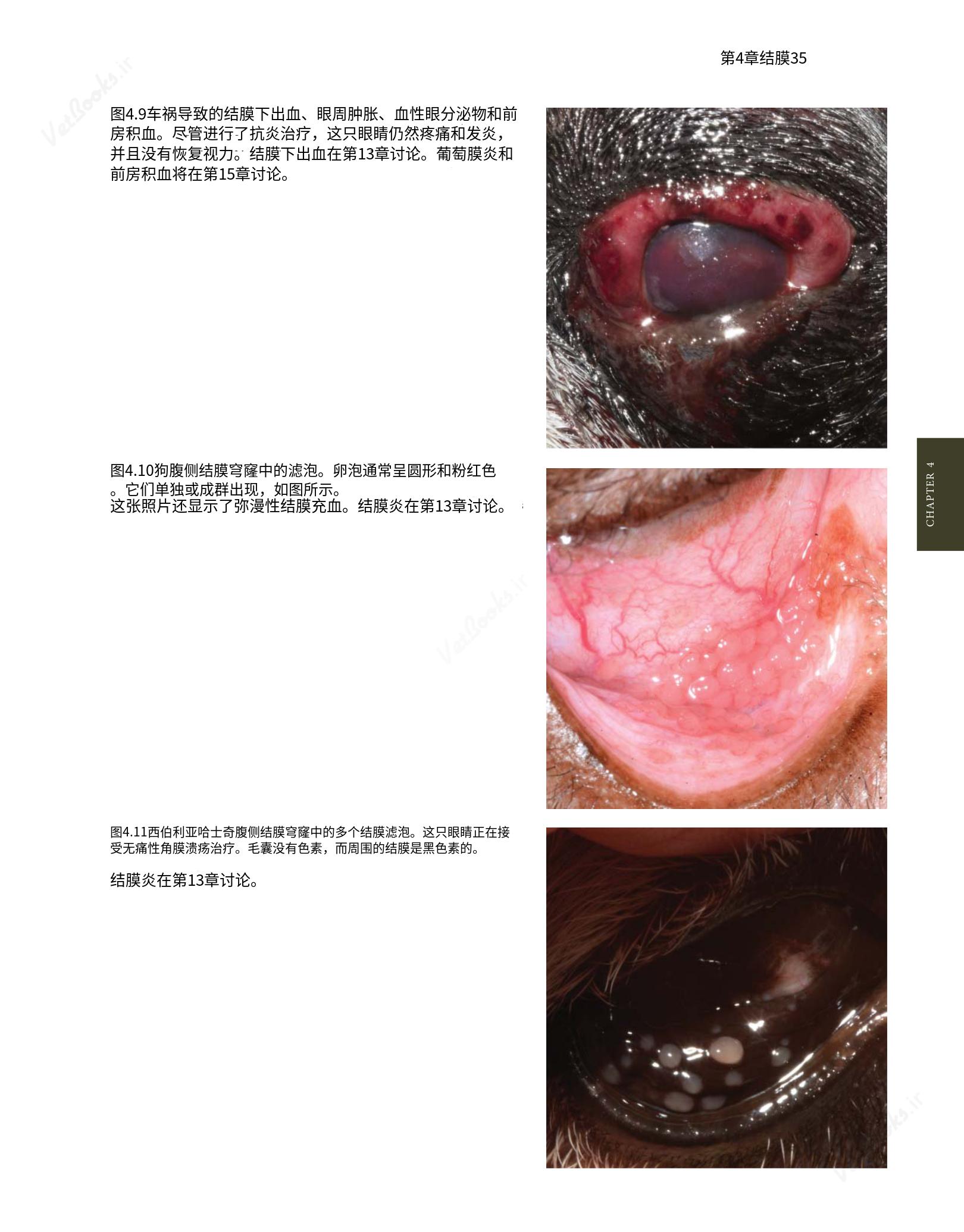 translated.8d36d370b5854e5687dea4520313d3b9_59.png