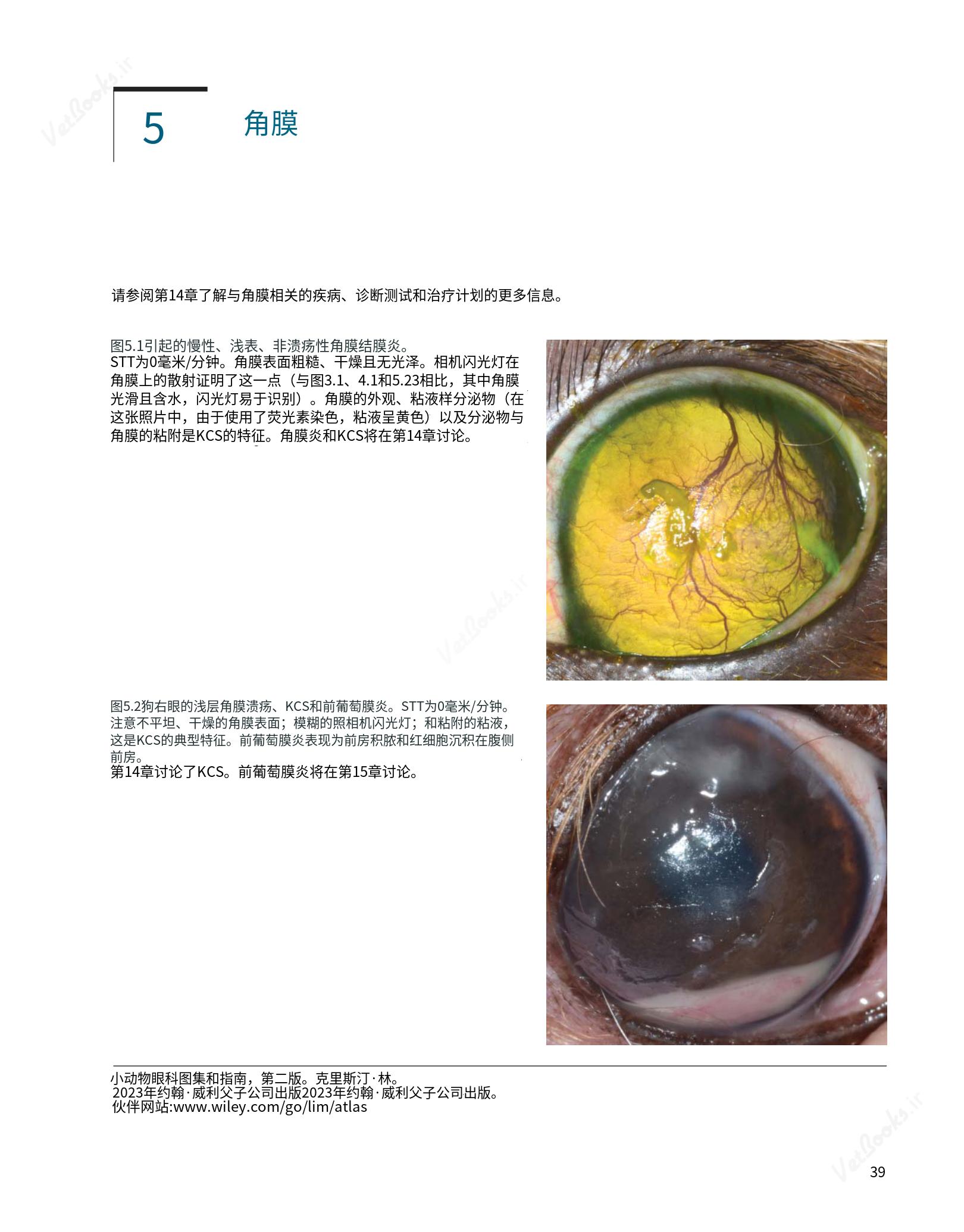 translated.8d36d370b5854e5687dea4520313d3b9_63.png
