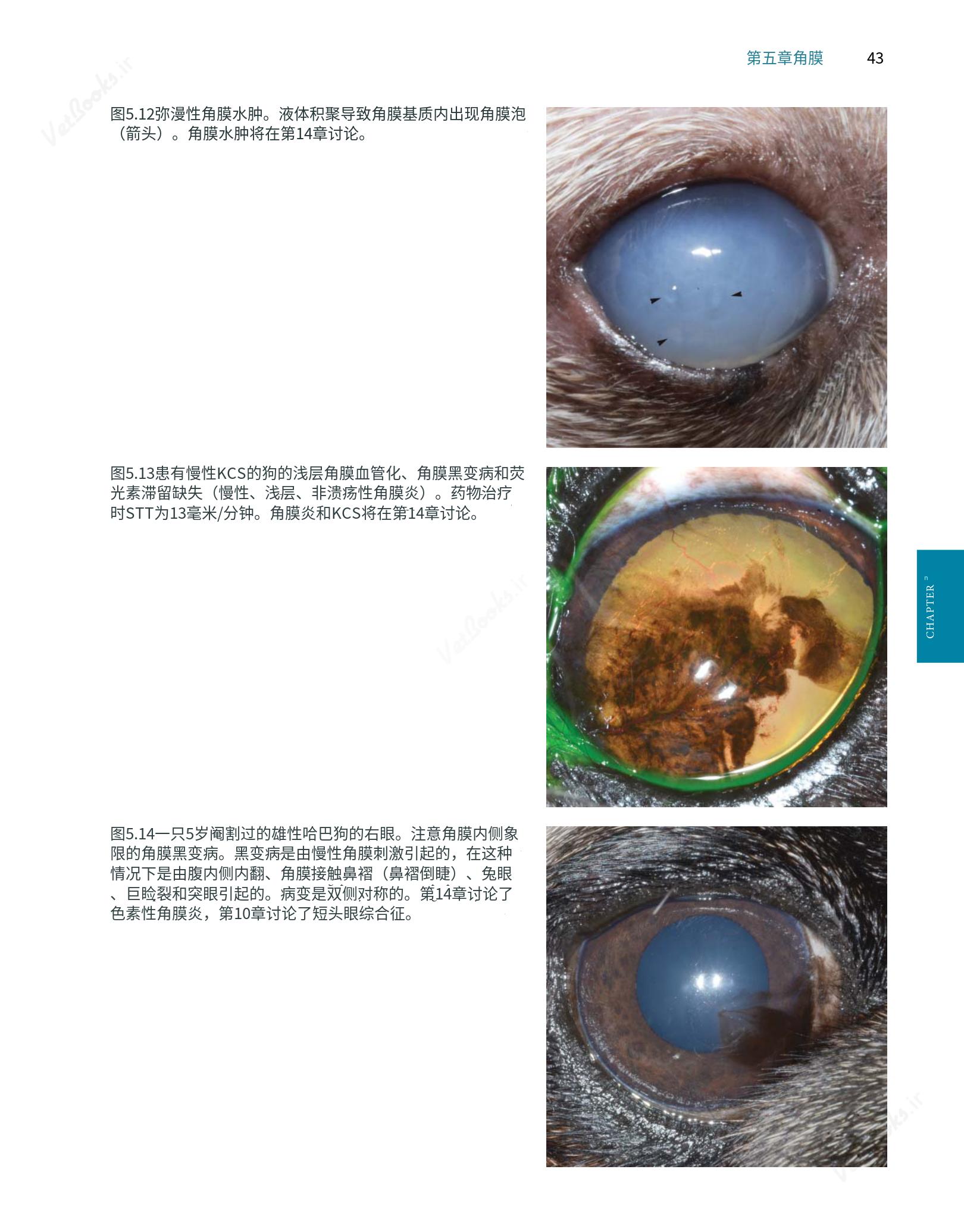 translated.8d36d370b5854e5687dea4520313d3b9_67.png