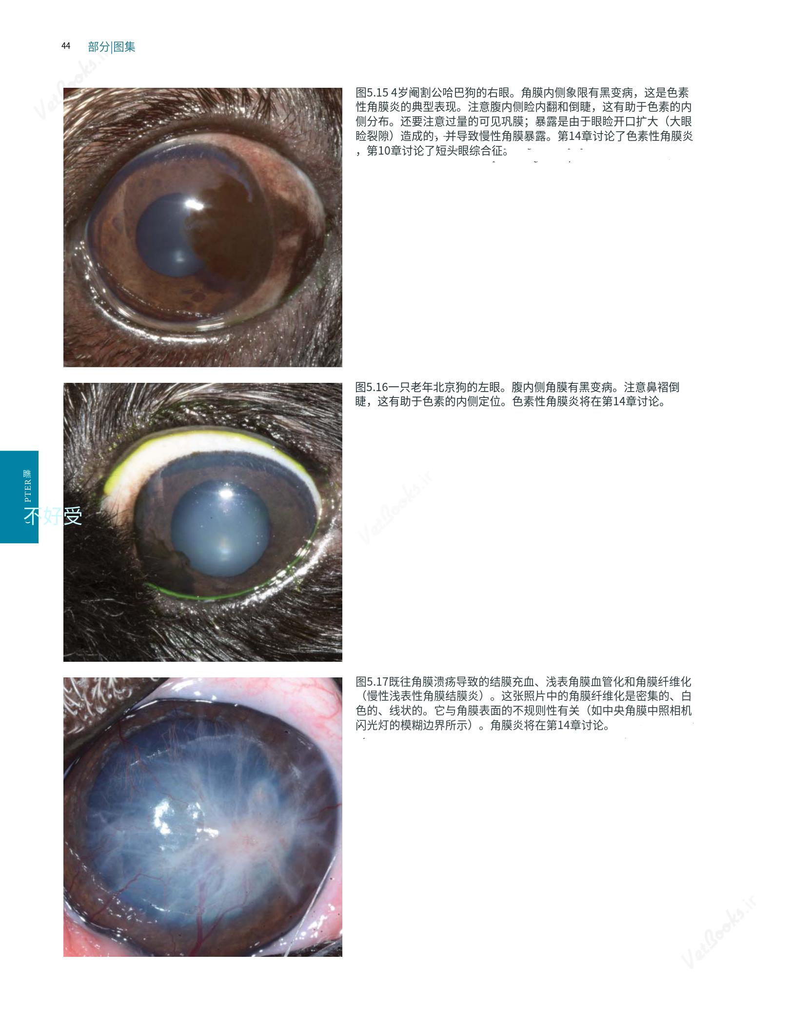 translated.8d36d370b5854e5687dea4520313d3b9_68.png