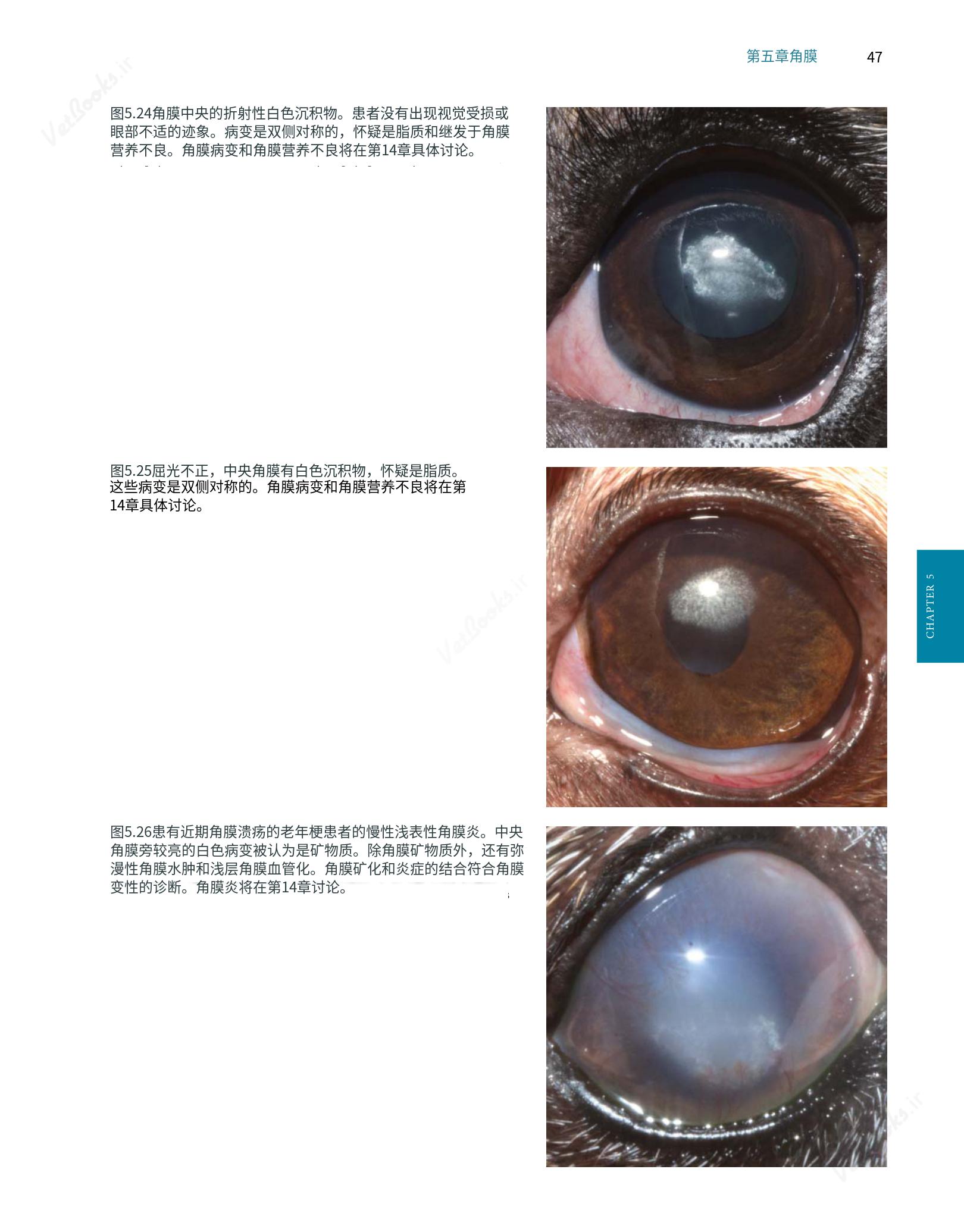 translated.8d36d370b5854e5687dea4520313d3b9_71.png