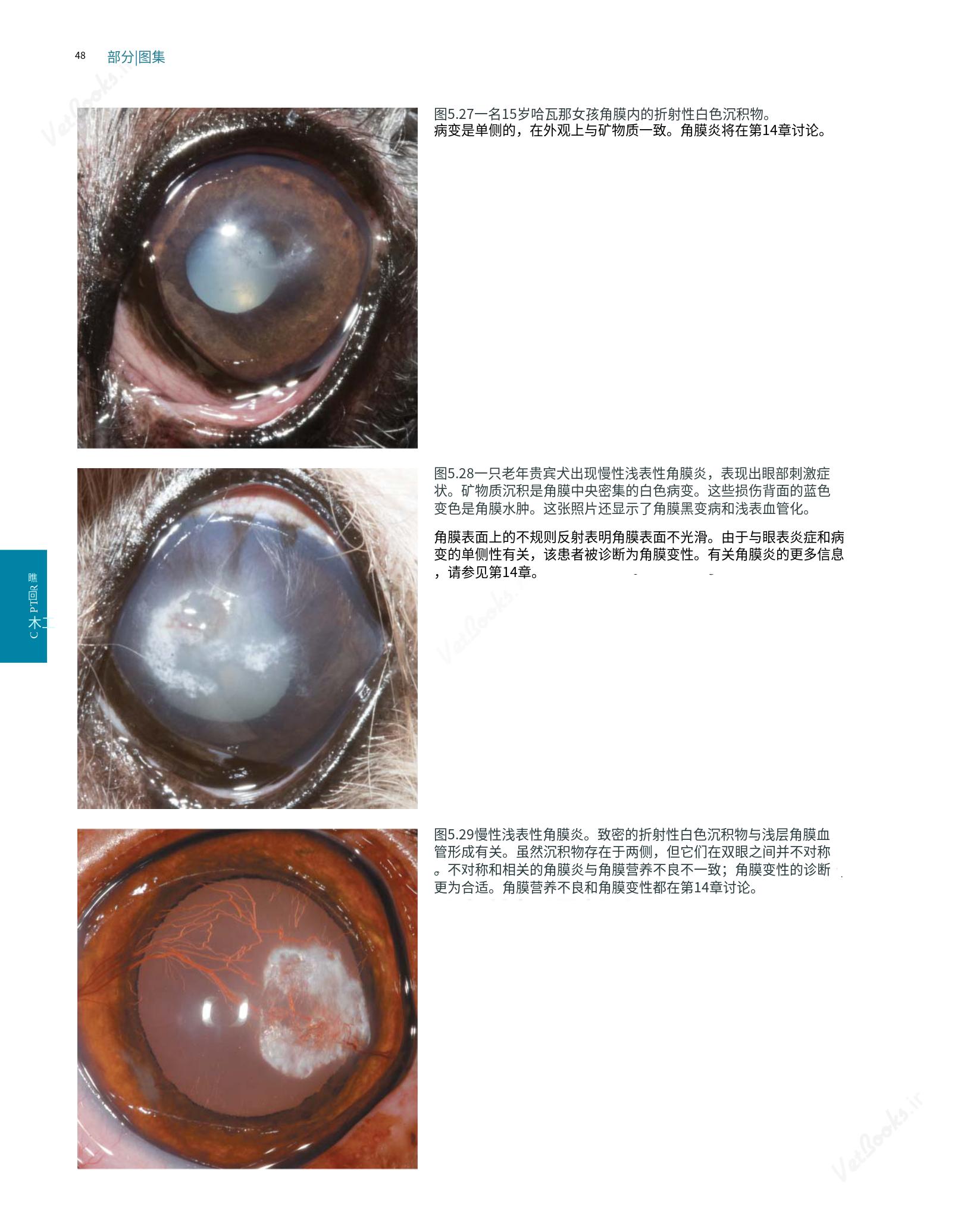 translated.8d36d370b5854e5687dea4520313d3b9_72.png