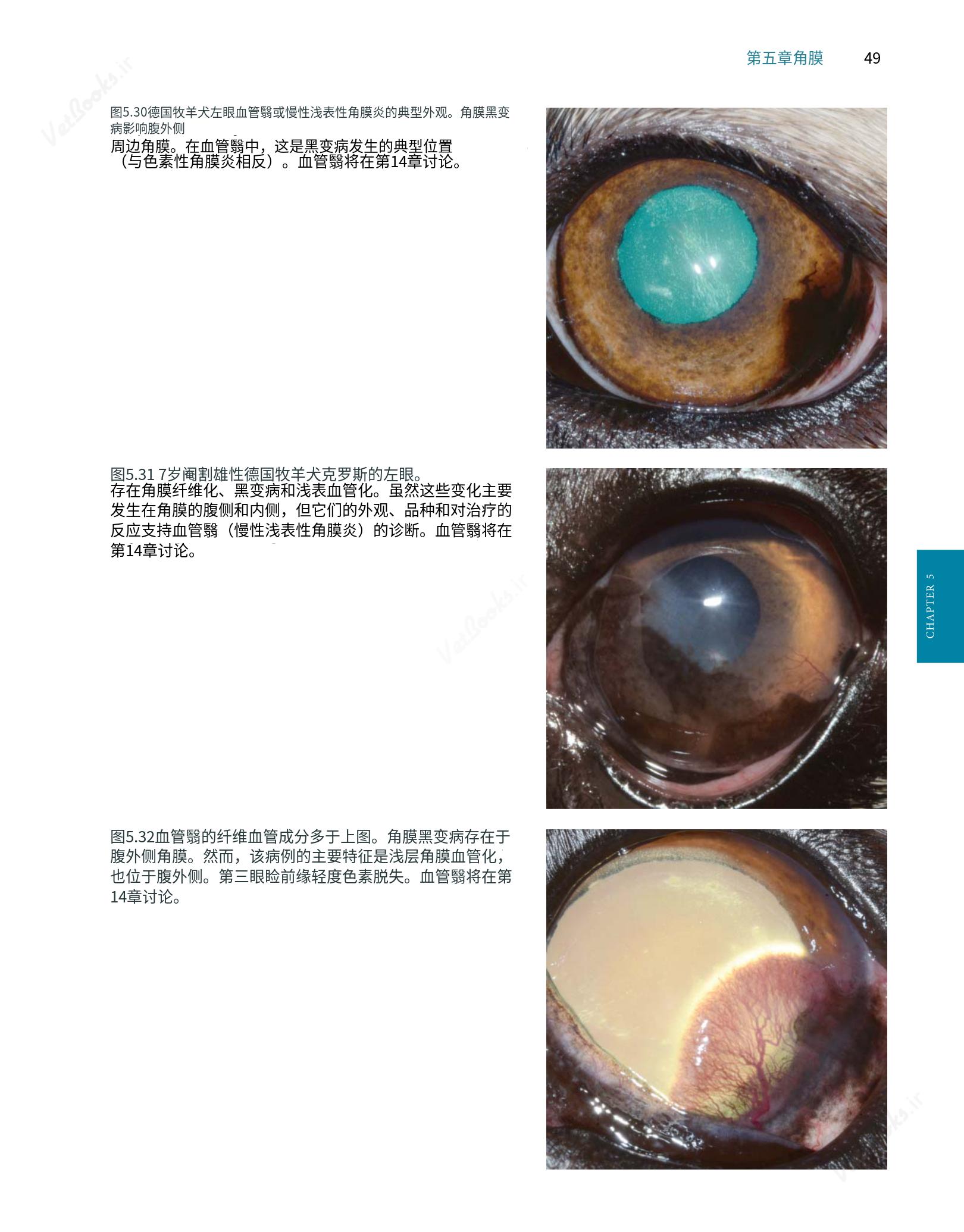 translated.8d36d370b5854e5687dea4520313d3b9_73.png