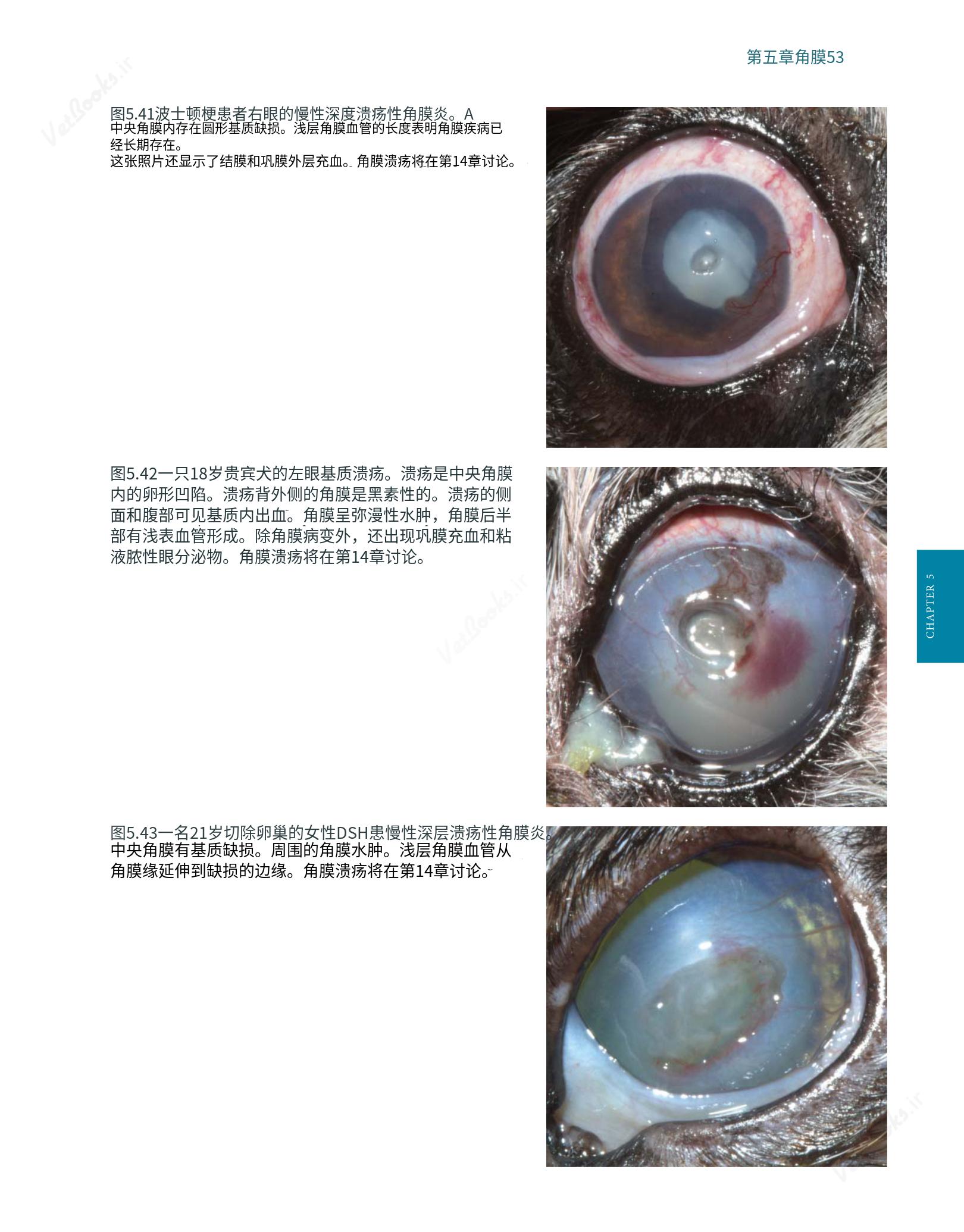 translated.8d36d370b5854e5687dea4520313d3b9_77.png