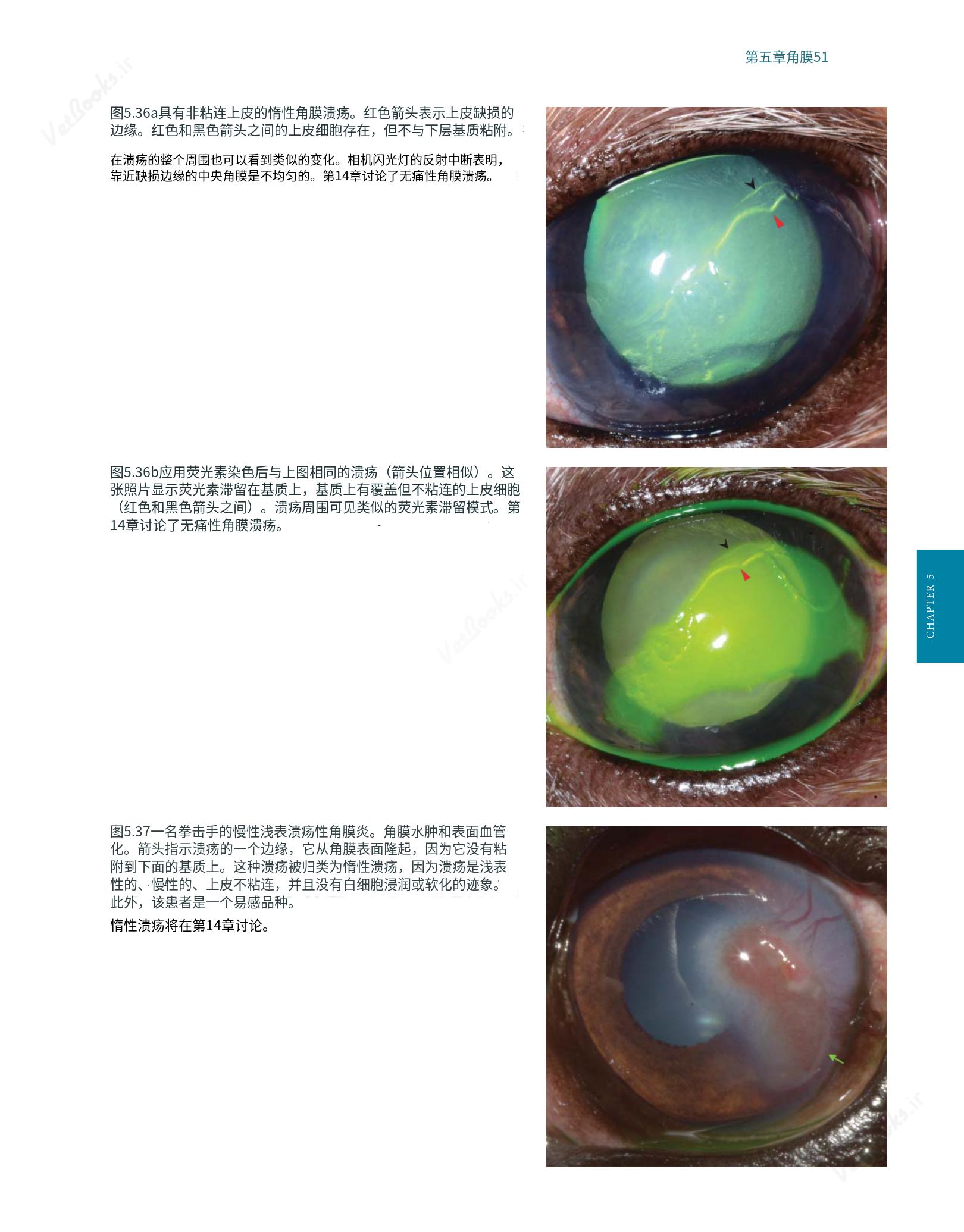translated.8d36d370b5854e5687dea4520313d3b9_75.png