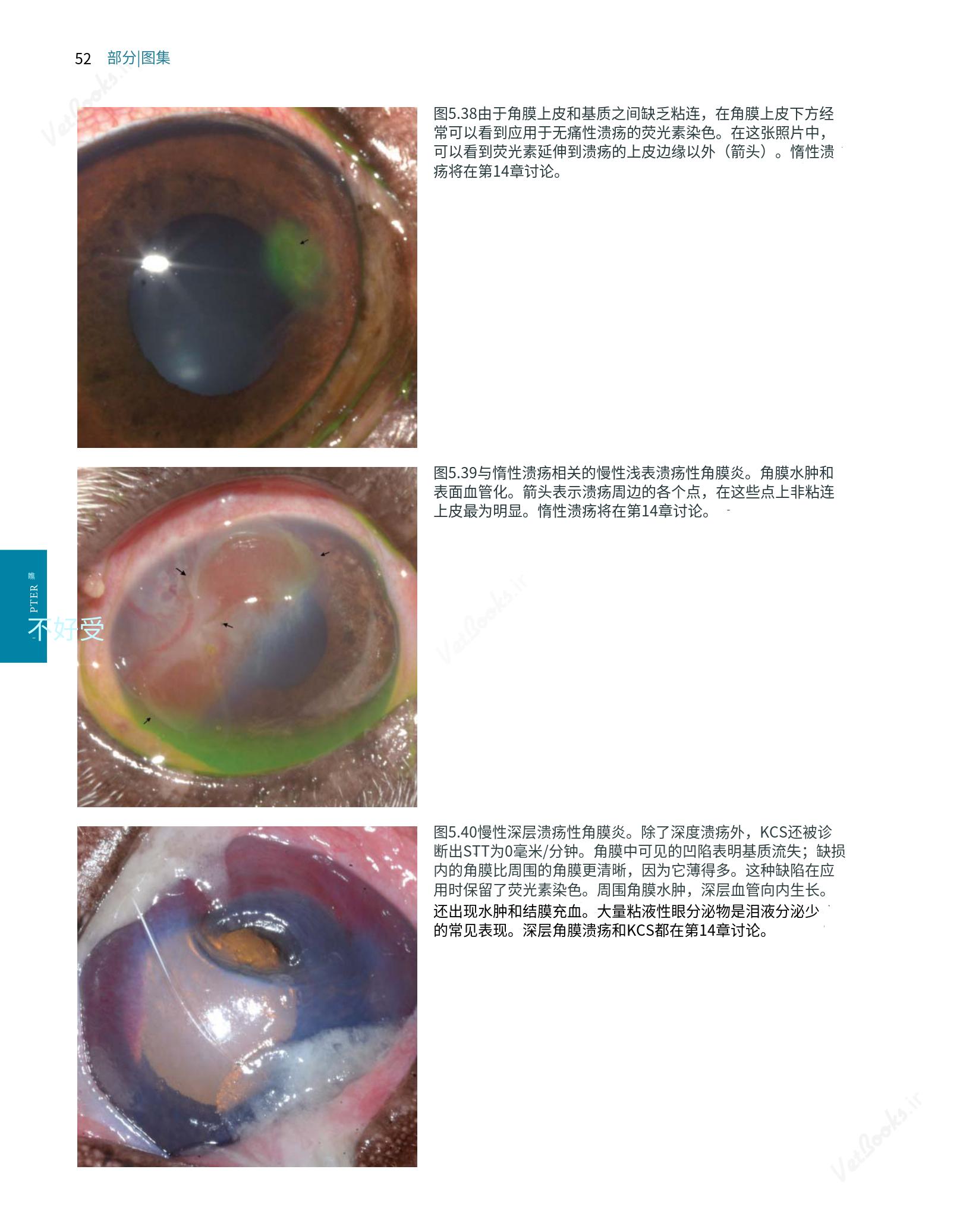 translated.8d36d370b5854e5687dea4520313d3b9_76.png