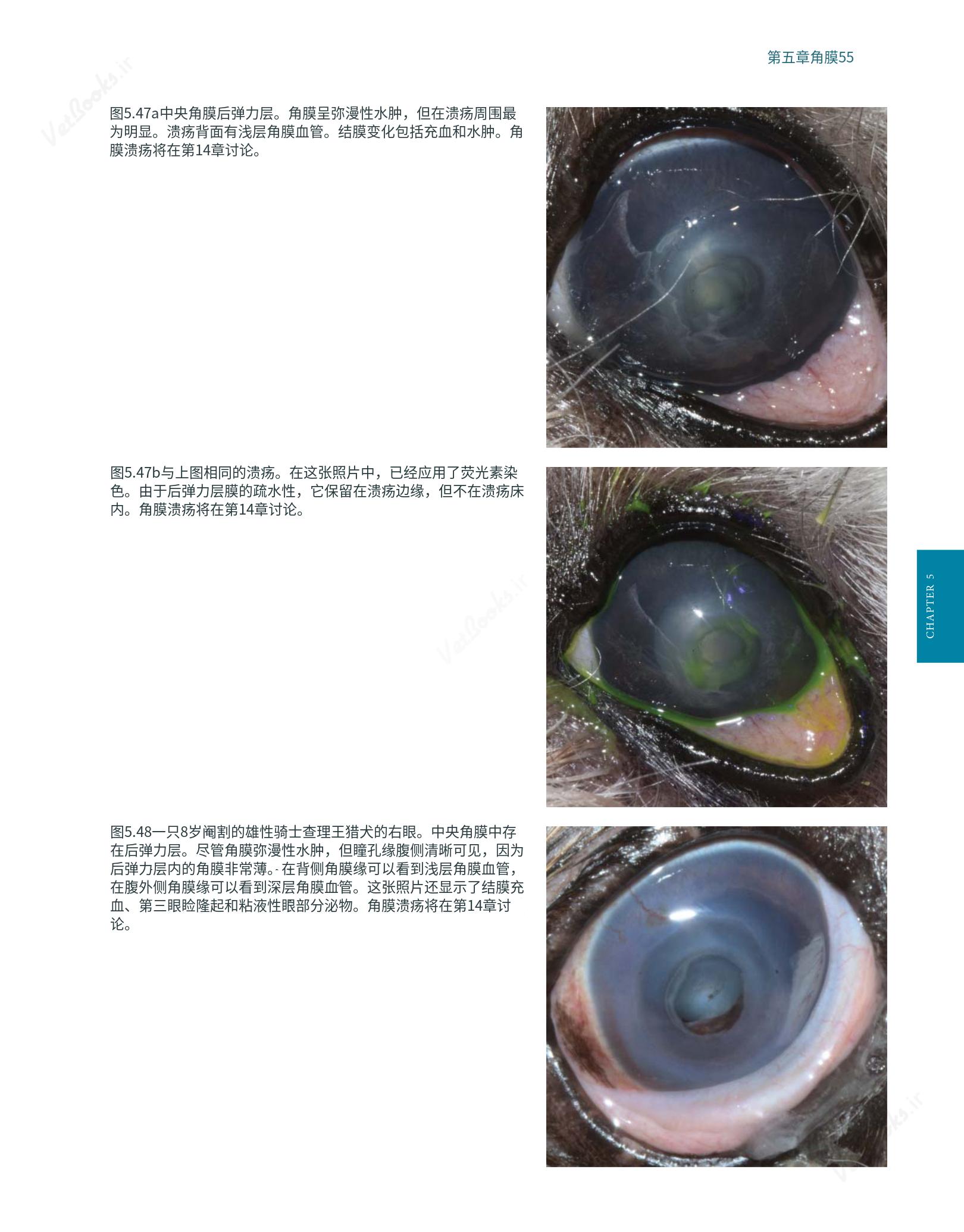 translated.8d36d370b5854e5687dea4520313d3b9_79.png