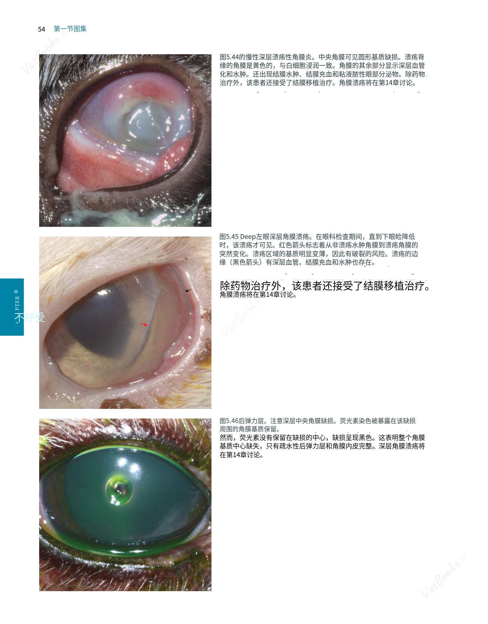 translated.8d36d370b5854e5687dea4520313d3b9_78.png