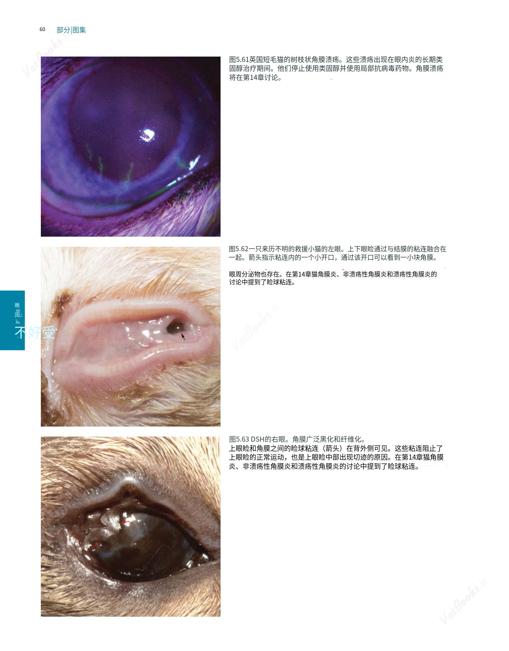 translated.8d36d370b5854e5687dea4520313d3b9_84.png