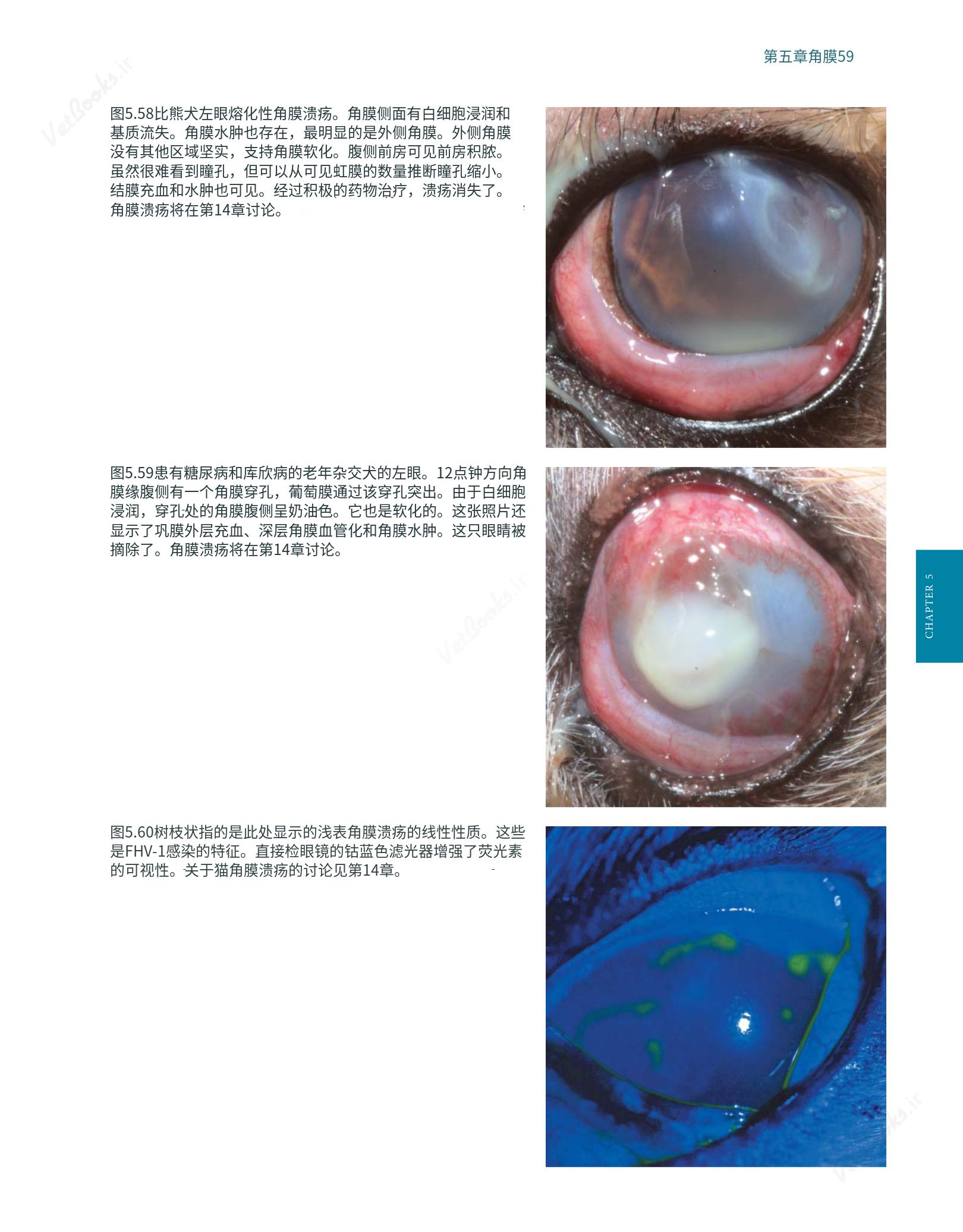 translated.8d36d370b5854e5687dea4520313d3b9_83.png