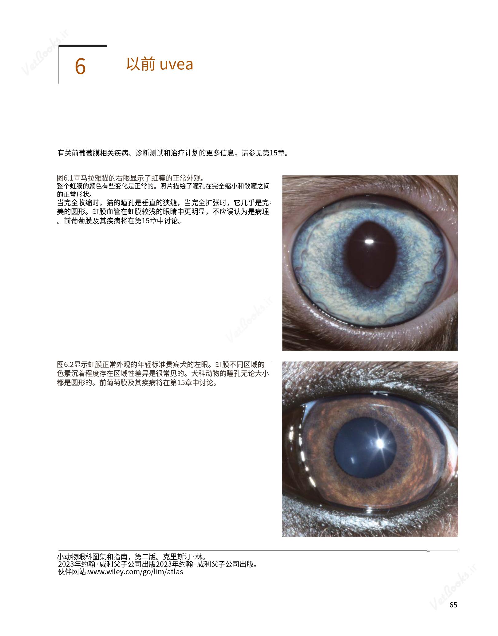 translated.8d36d370b5854e5687dea4520313d3b9_89.png