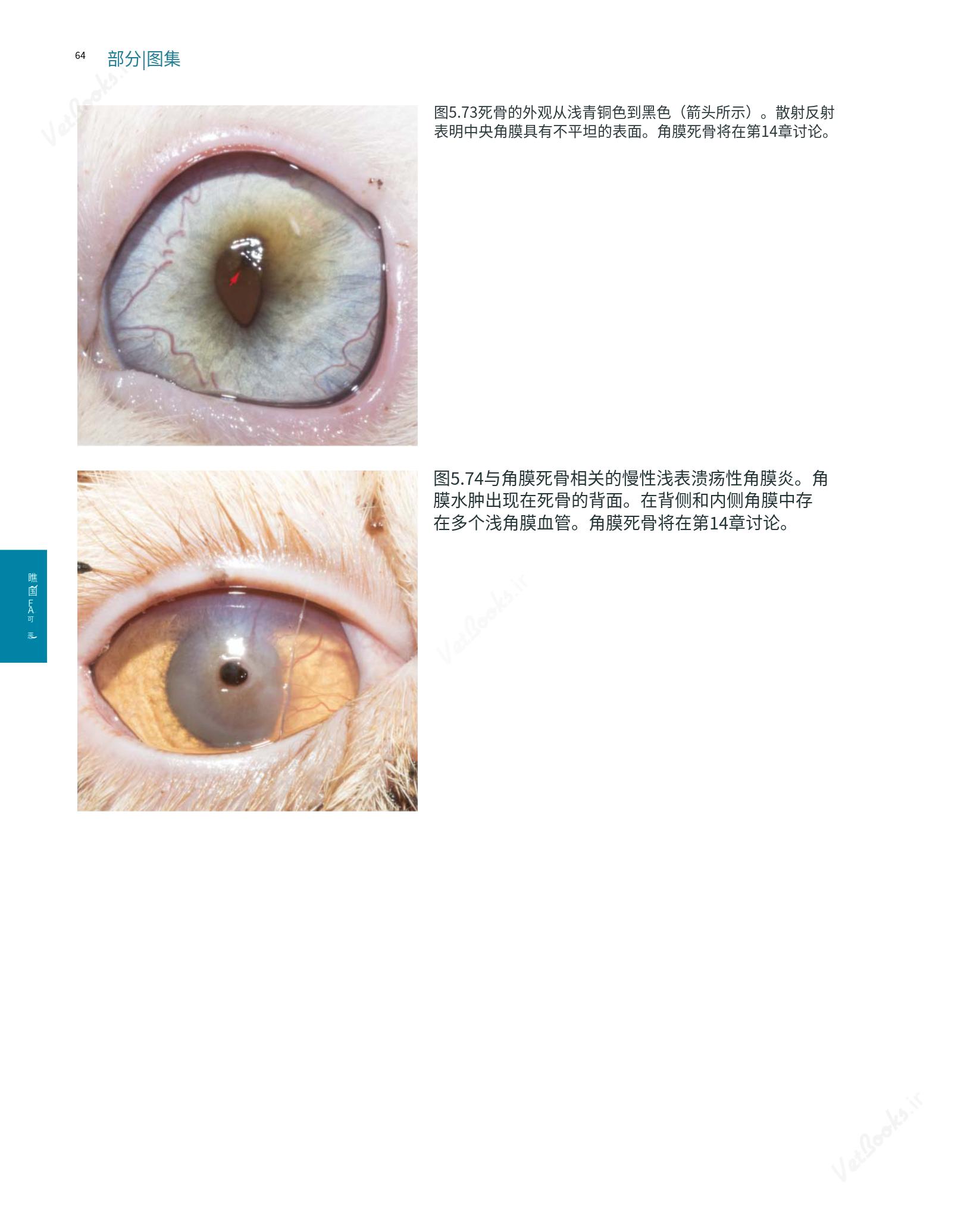translated.8d36d370b5854e5687dea4520313d3b9_88.png