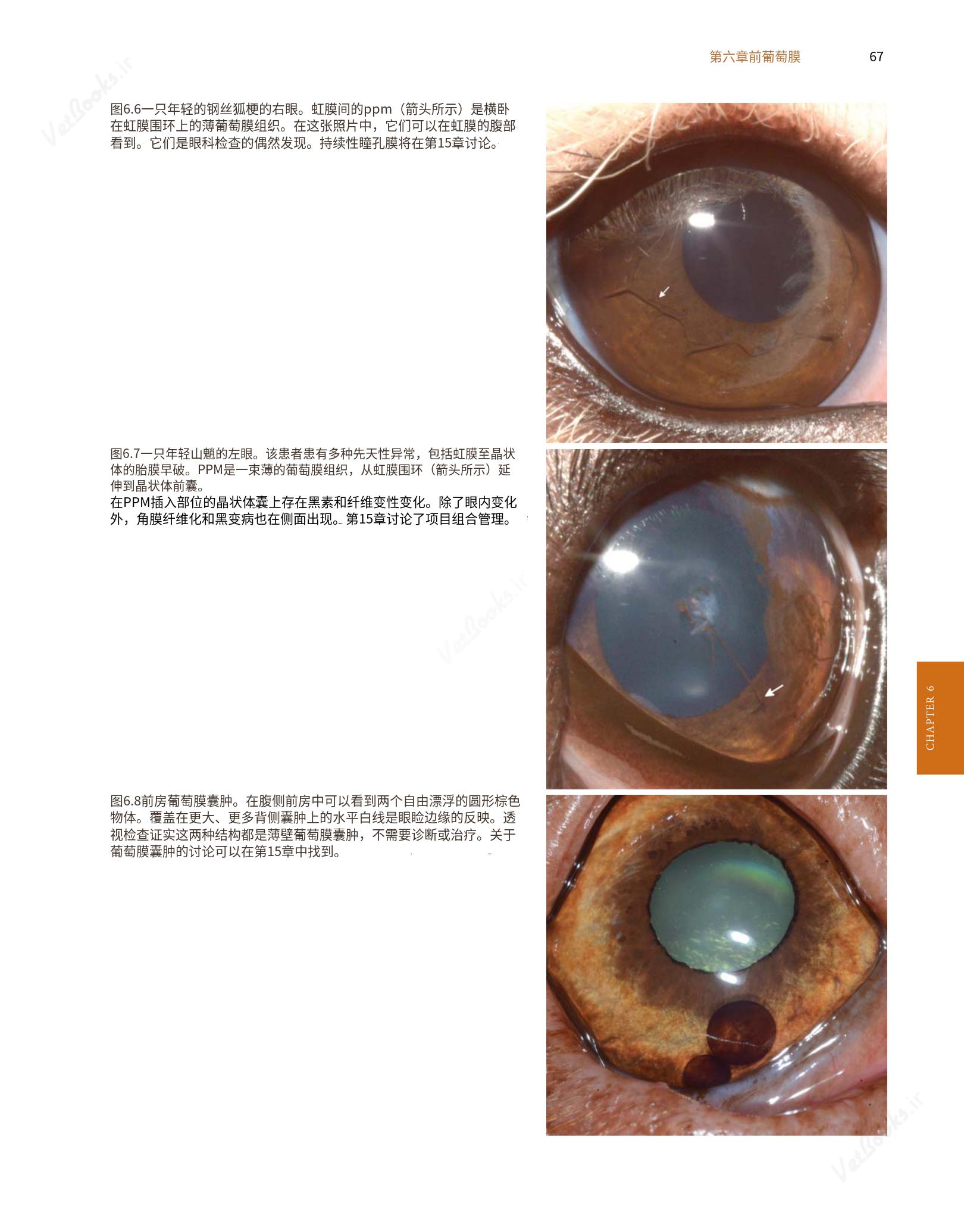 translated.8d36d370b5854e5687dea4520313d3b9_91.png