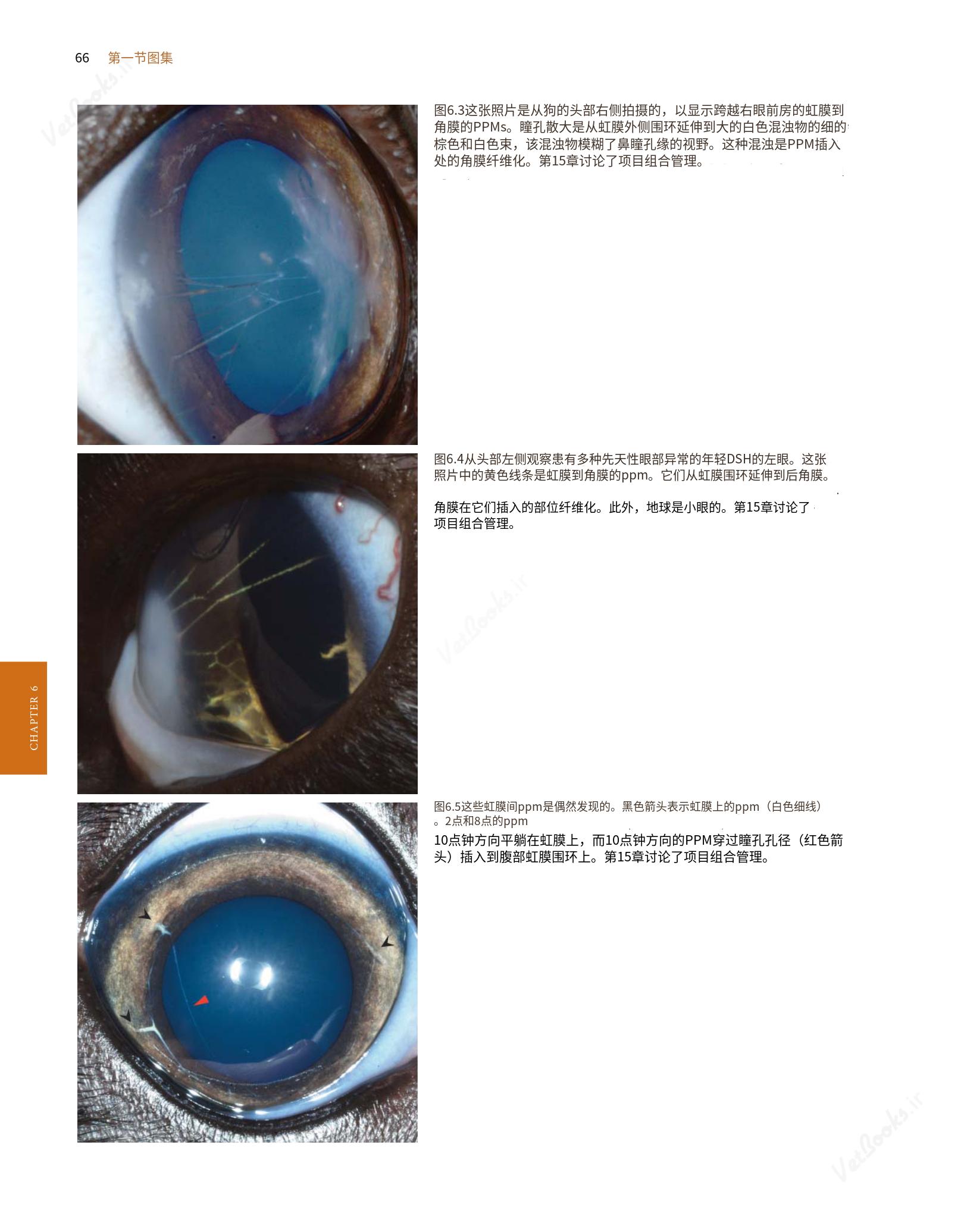 translated.8d36d370b5854e5687dea4520313d3b9_90.png
