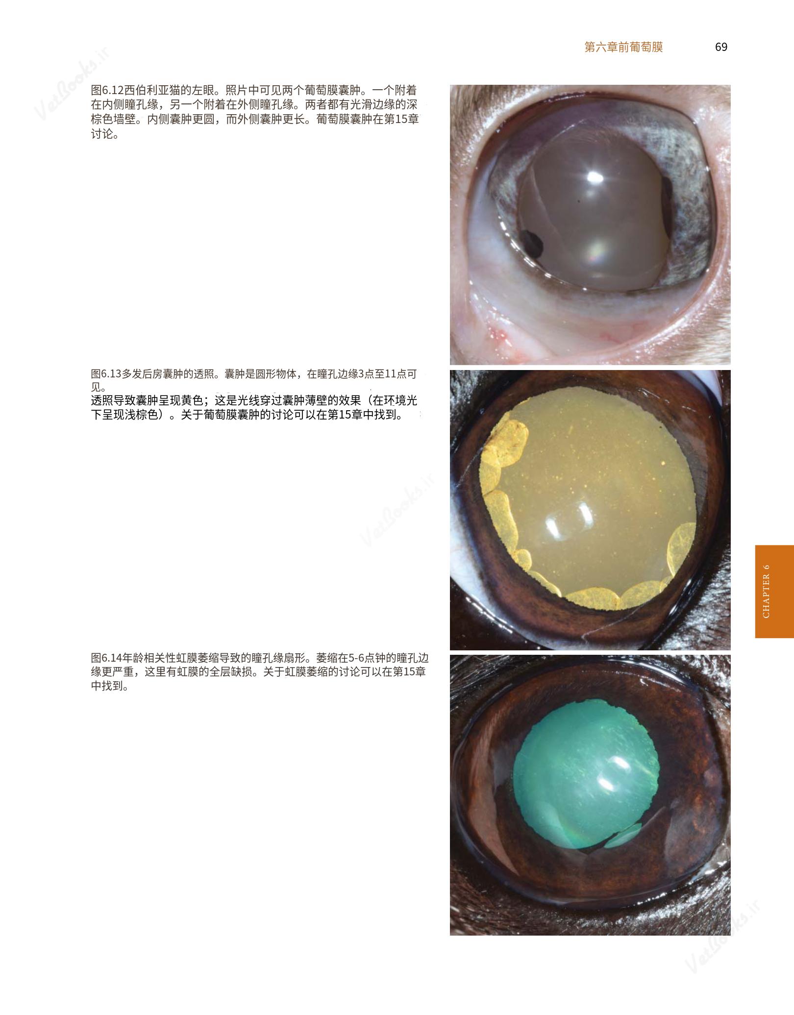 translated.8d36d370b5854e5687dea4520313d3b9_93.png