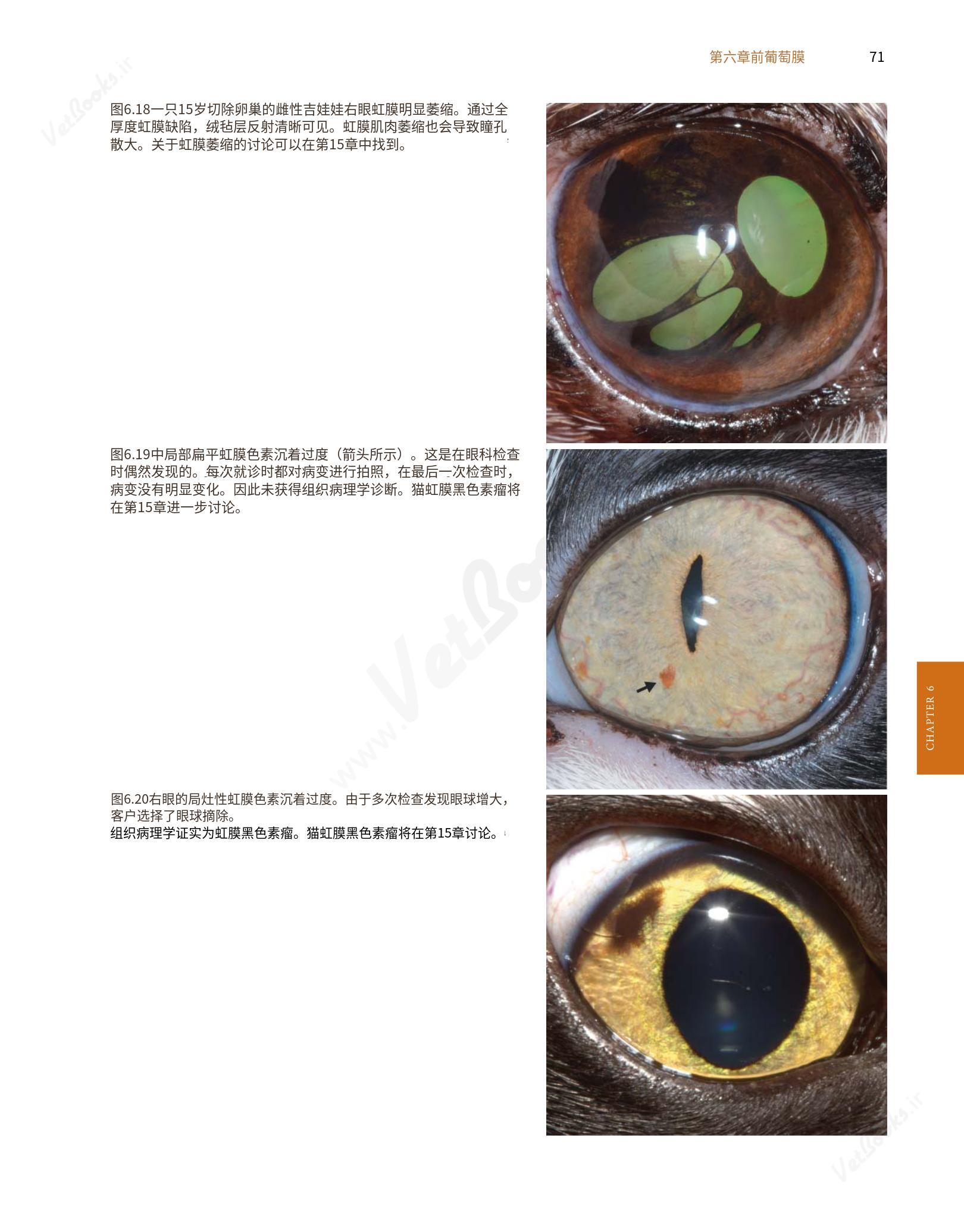translated.8d36d370b5854e5687dea4520313d3b9_95.png