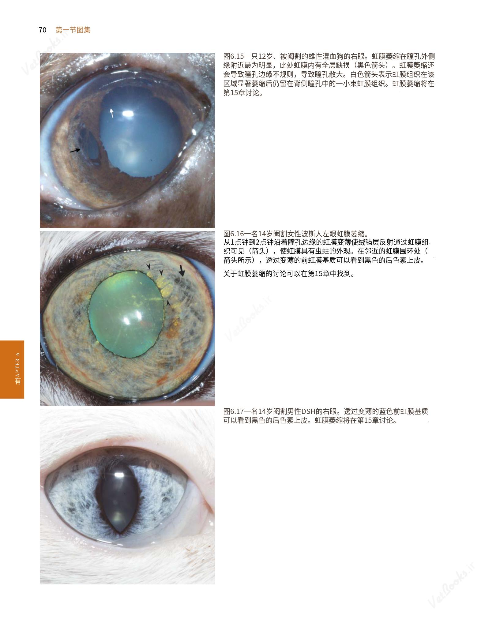 translated.8d36d370b5854e5687dea4520313d3b9_94.png