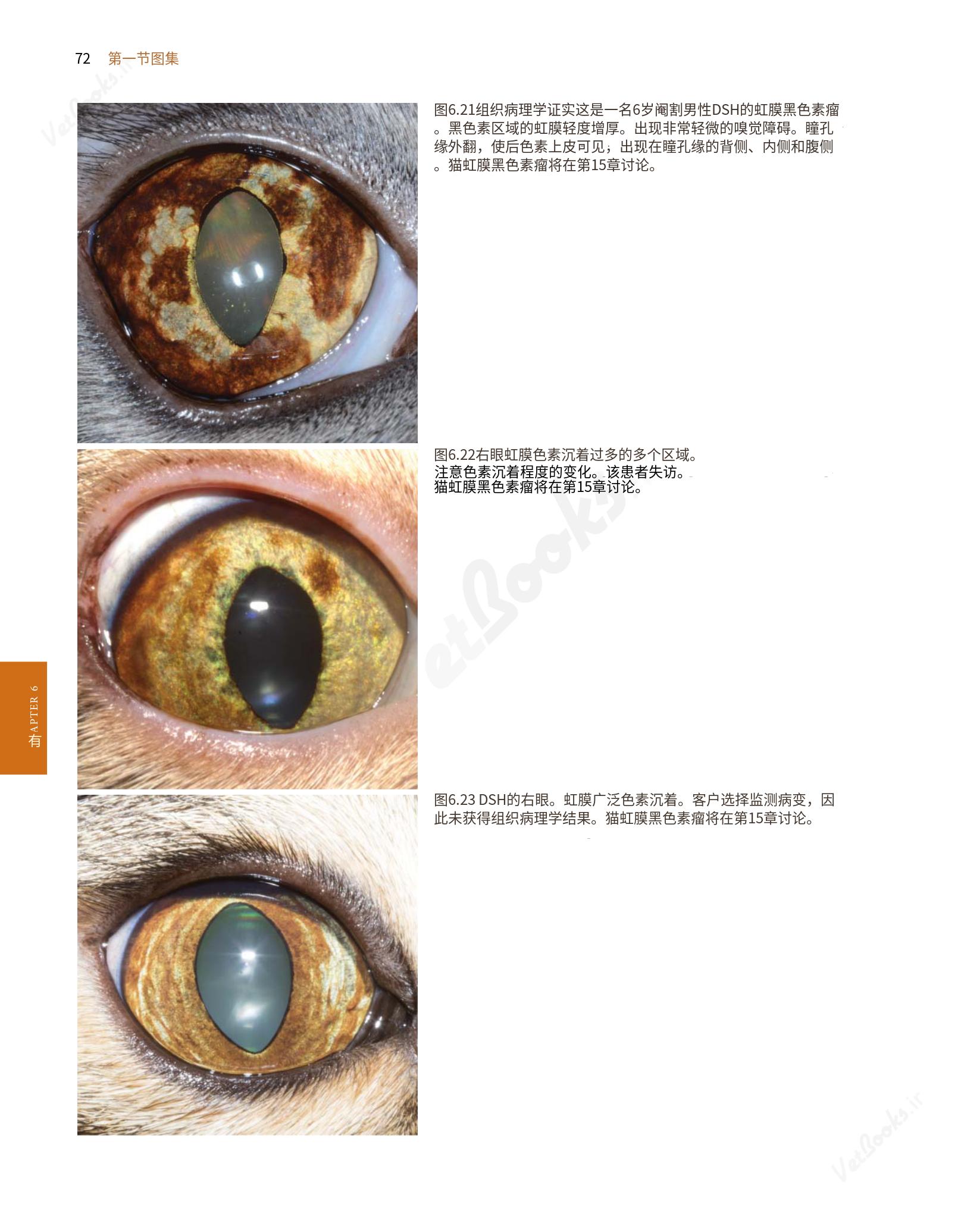 translated.8d36d370b5854e5687dea4520313d3b9_96.png
