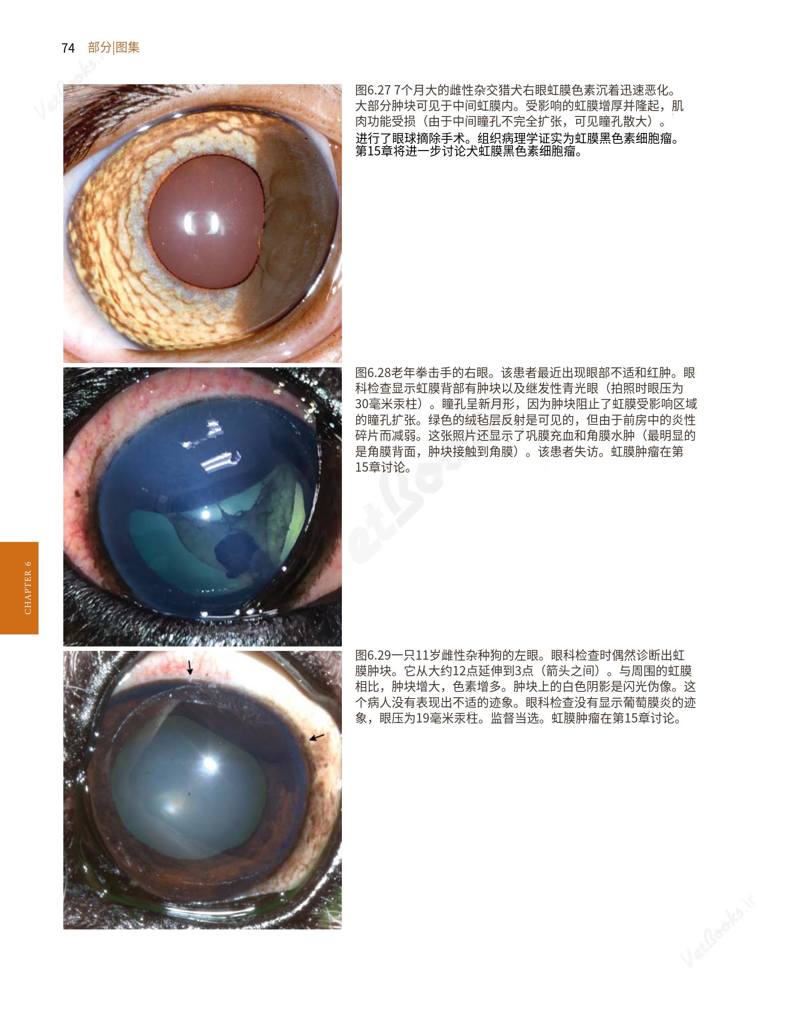 translated.8d36d370b5854e5687dea4520313d3b9_98.png