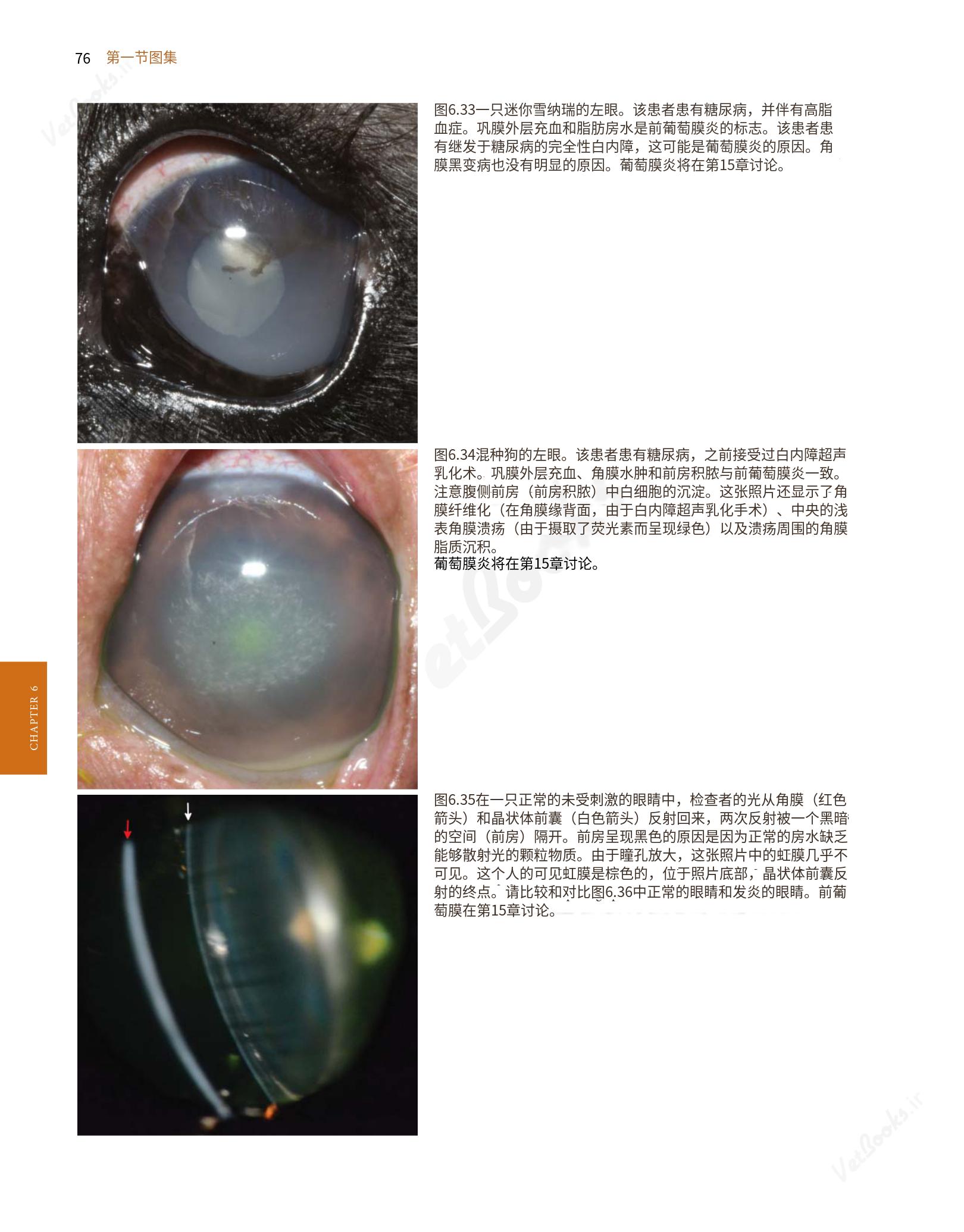 translated.8d36d370b5854e5687dea4520313d3b9_100.png
