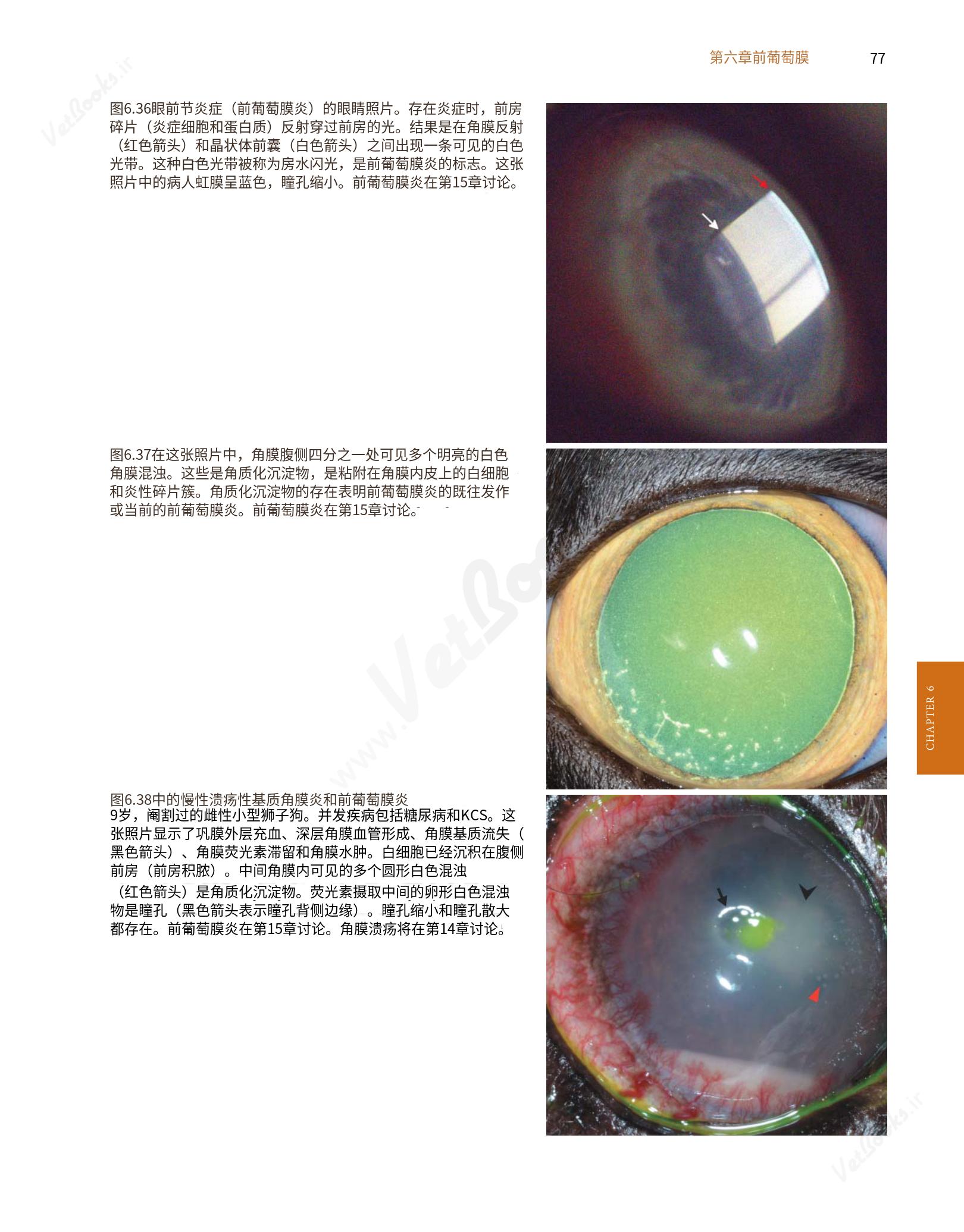 translated.8d36d370b5854e5687dea4520313d3b9_101.png