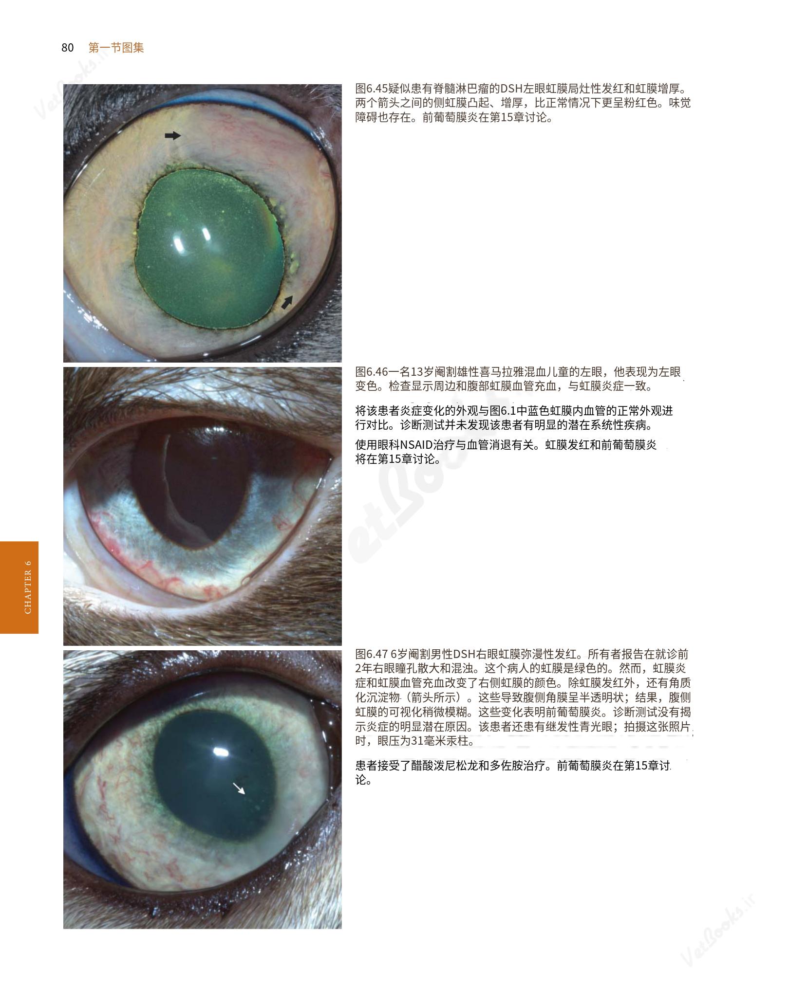 translated.8d36d370b5854e5687dea4520313d3b9_104.png