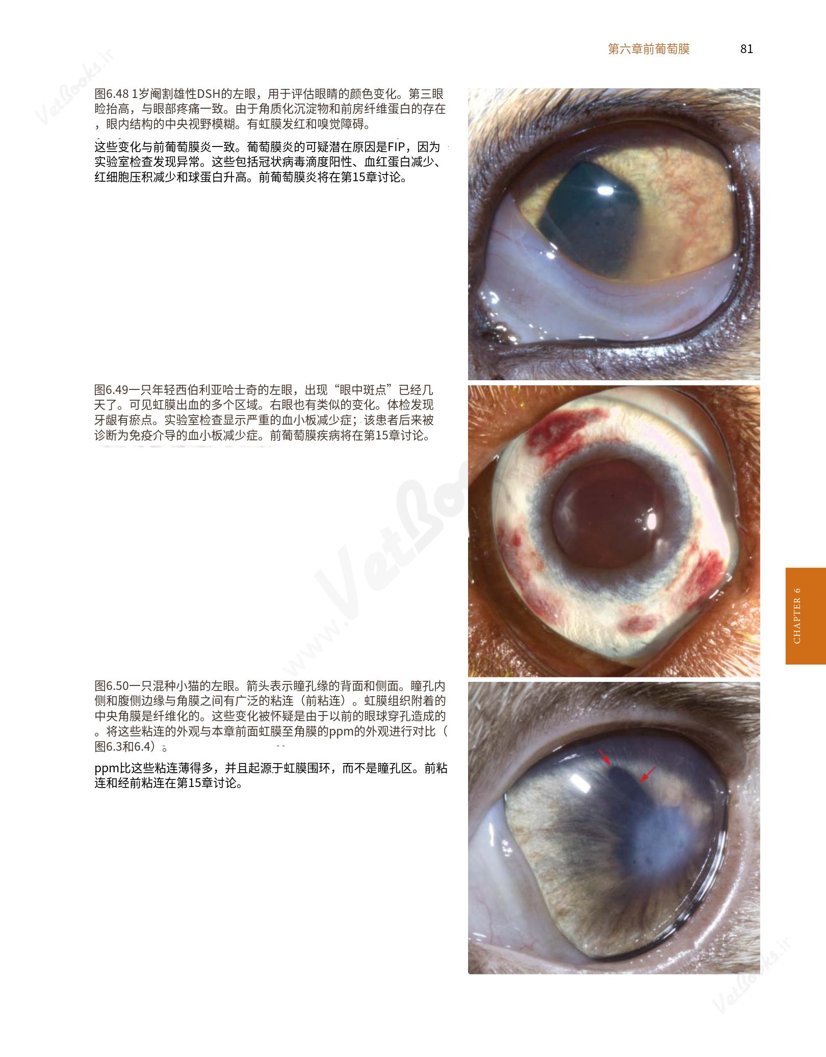 translated.8d36d370b5854e5687dea4520313d3b9_105.png