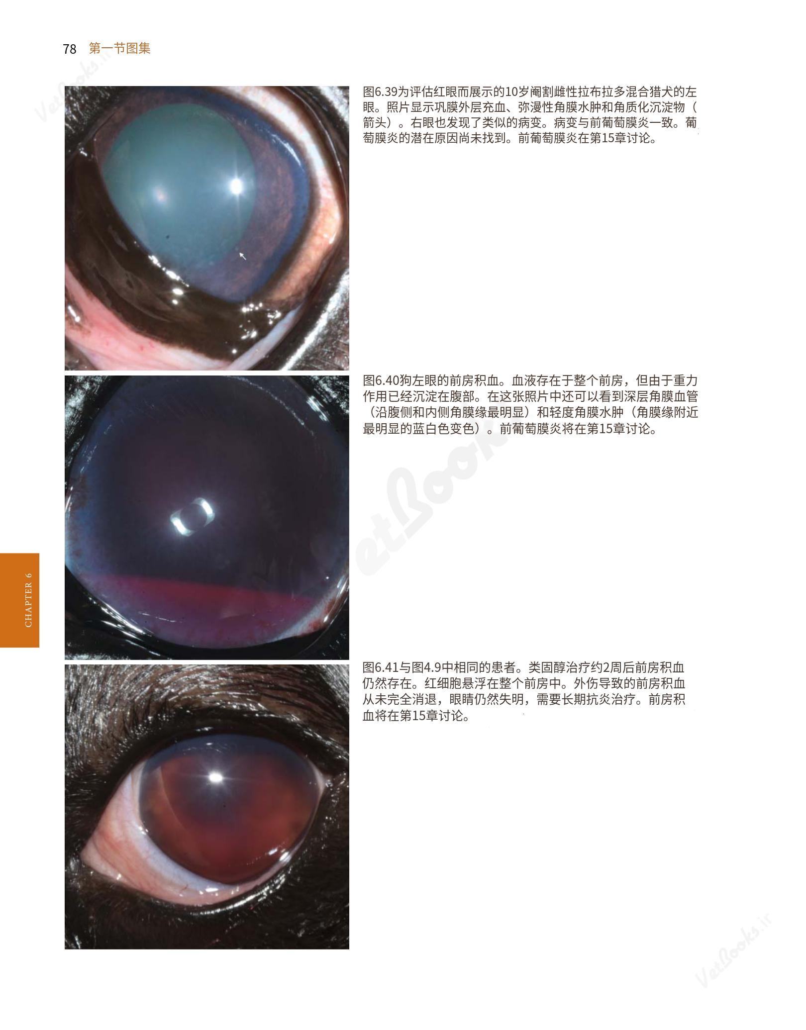 translated.8d36d370b5854e5687dea4520313d3b9_102.png