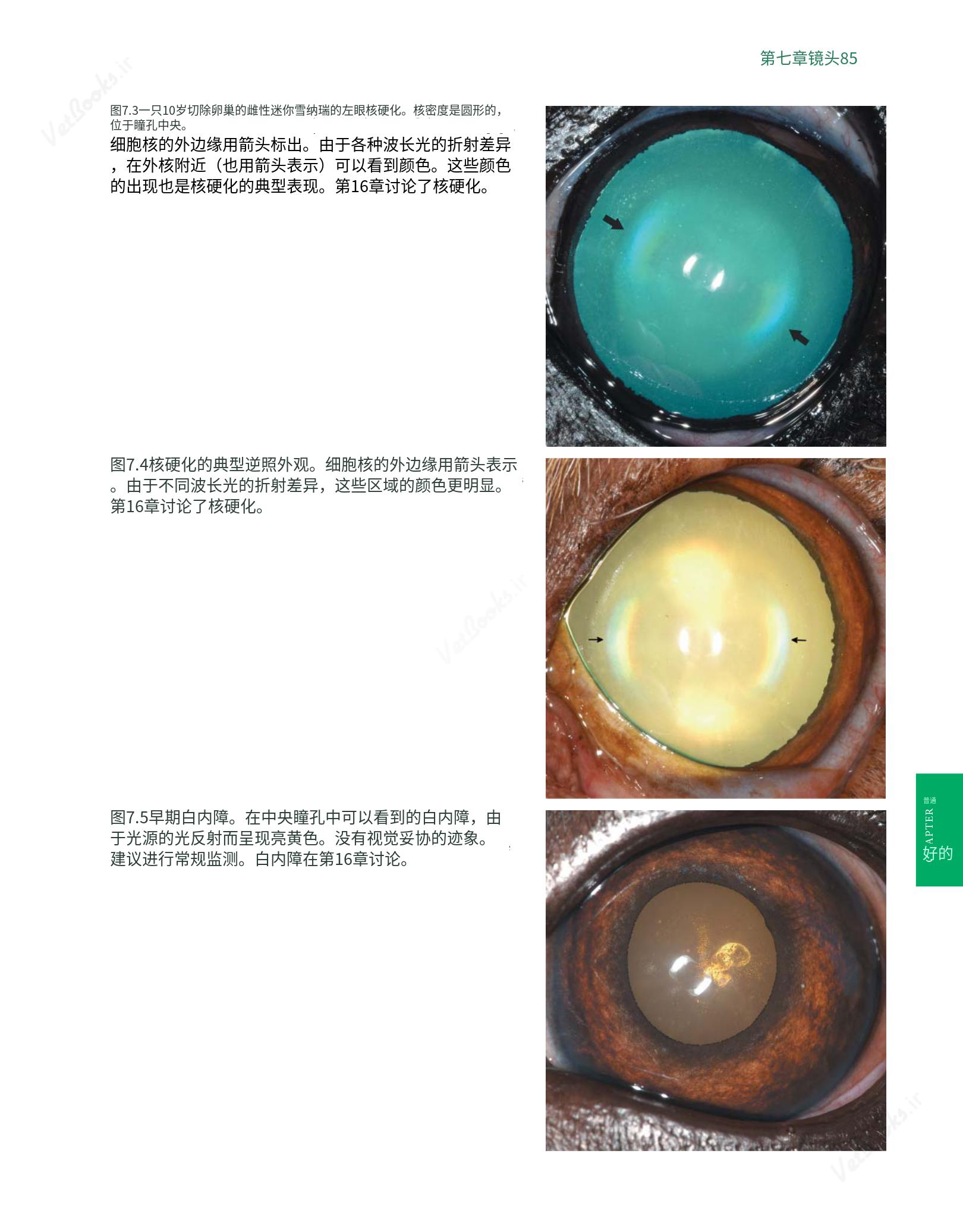 translated.8d36d370b5854e5687dea4520313d3b9_109.png